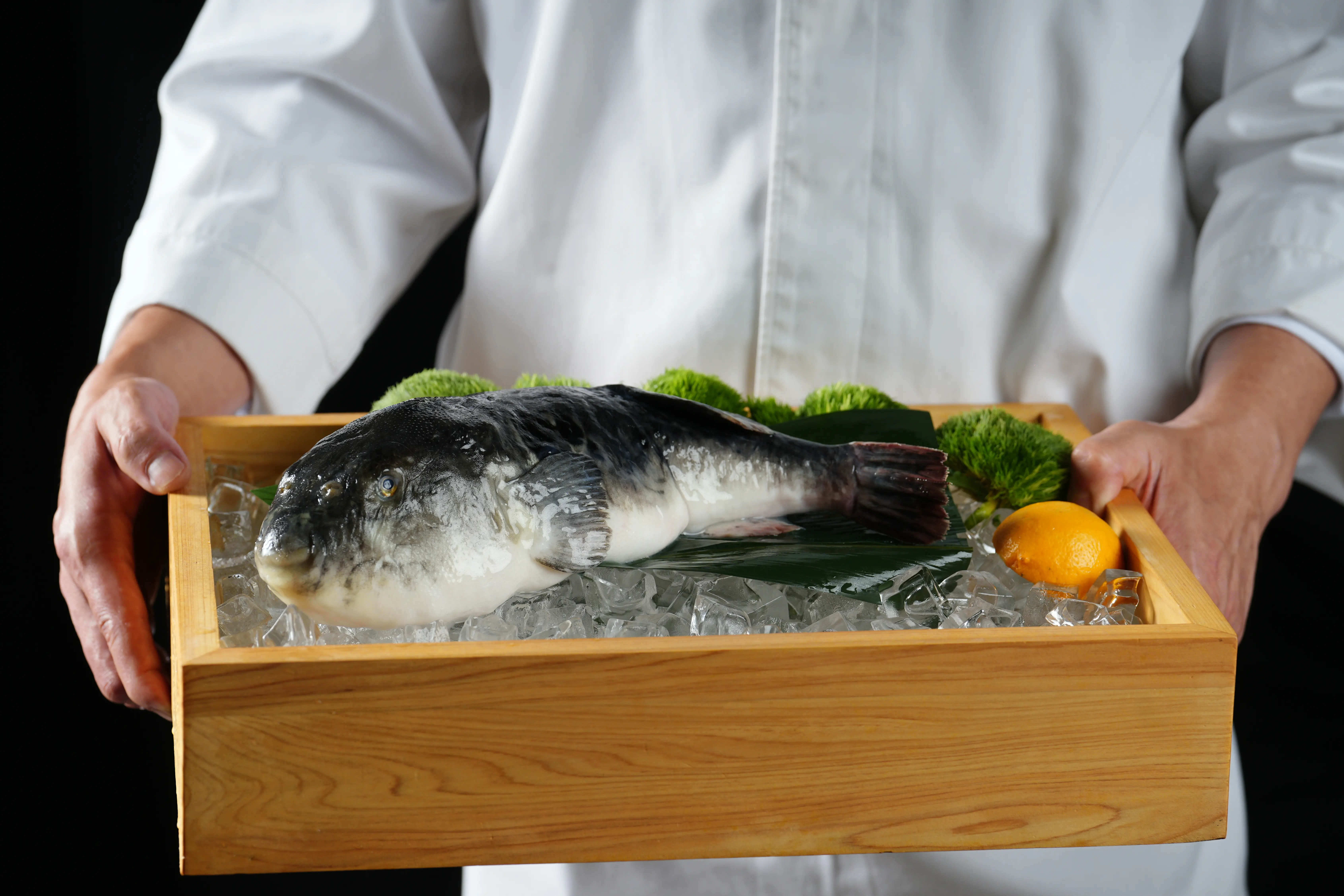 Marriott Hotel Cuisine Photography image 91 by maxlux.art / 沉光