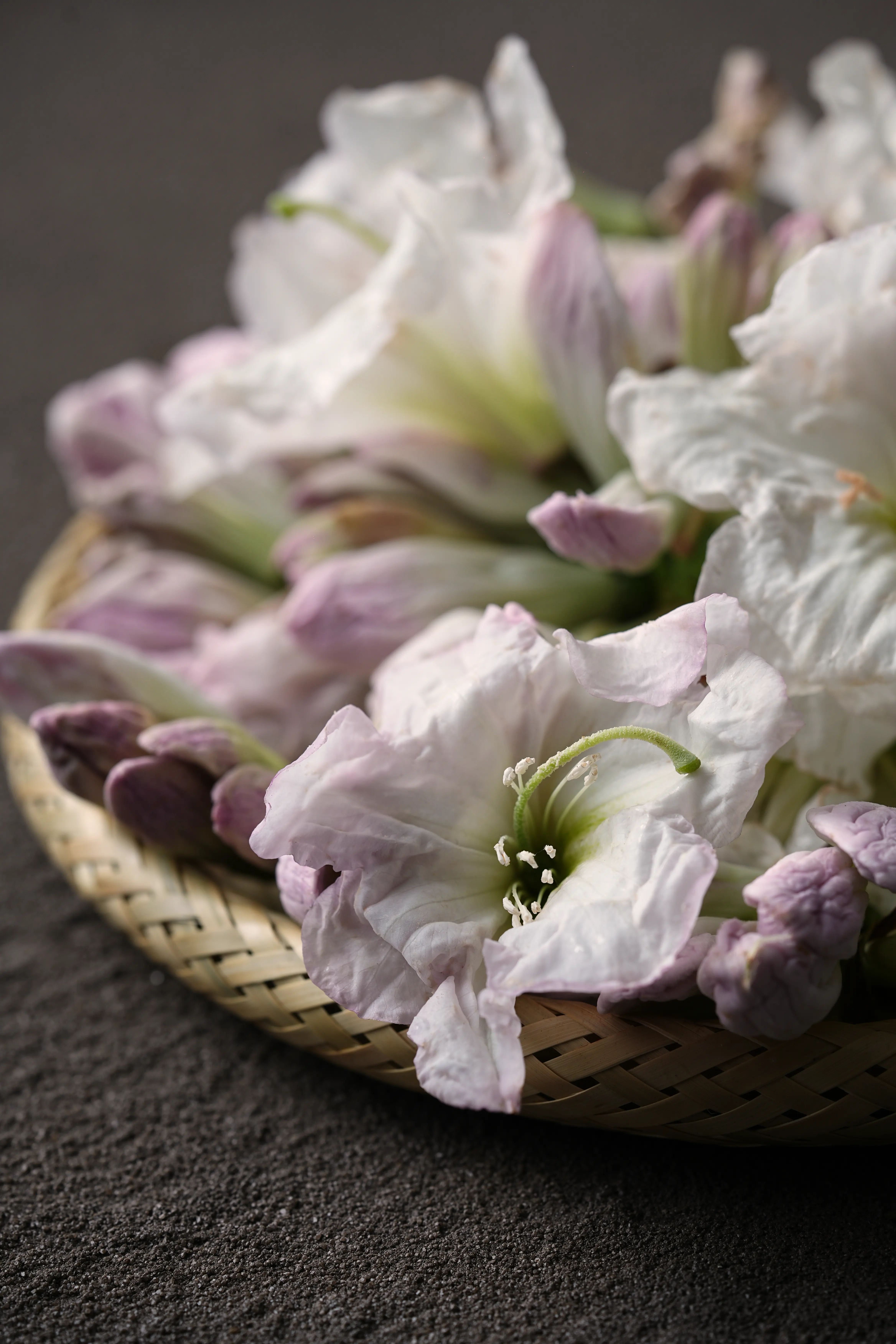 Yuan Cuisine Photography image 57 by maxlux.art / 沉光