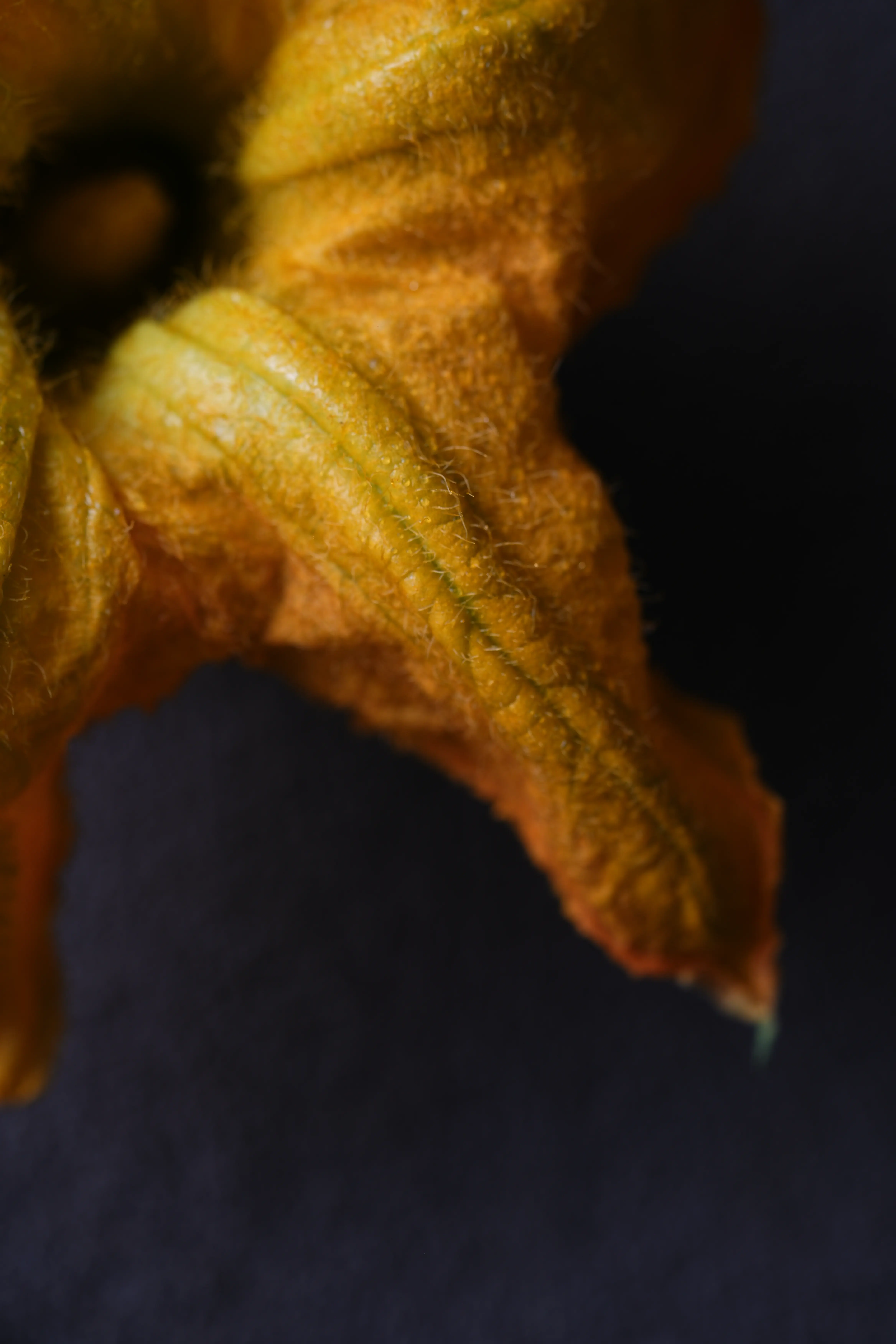 Yuan Cuisine Photography image 60 by maxlux.art / 沉光