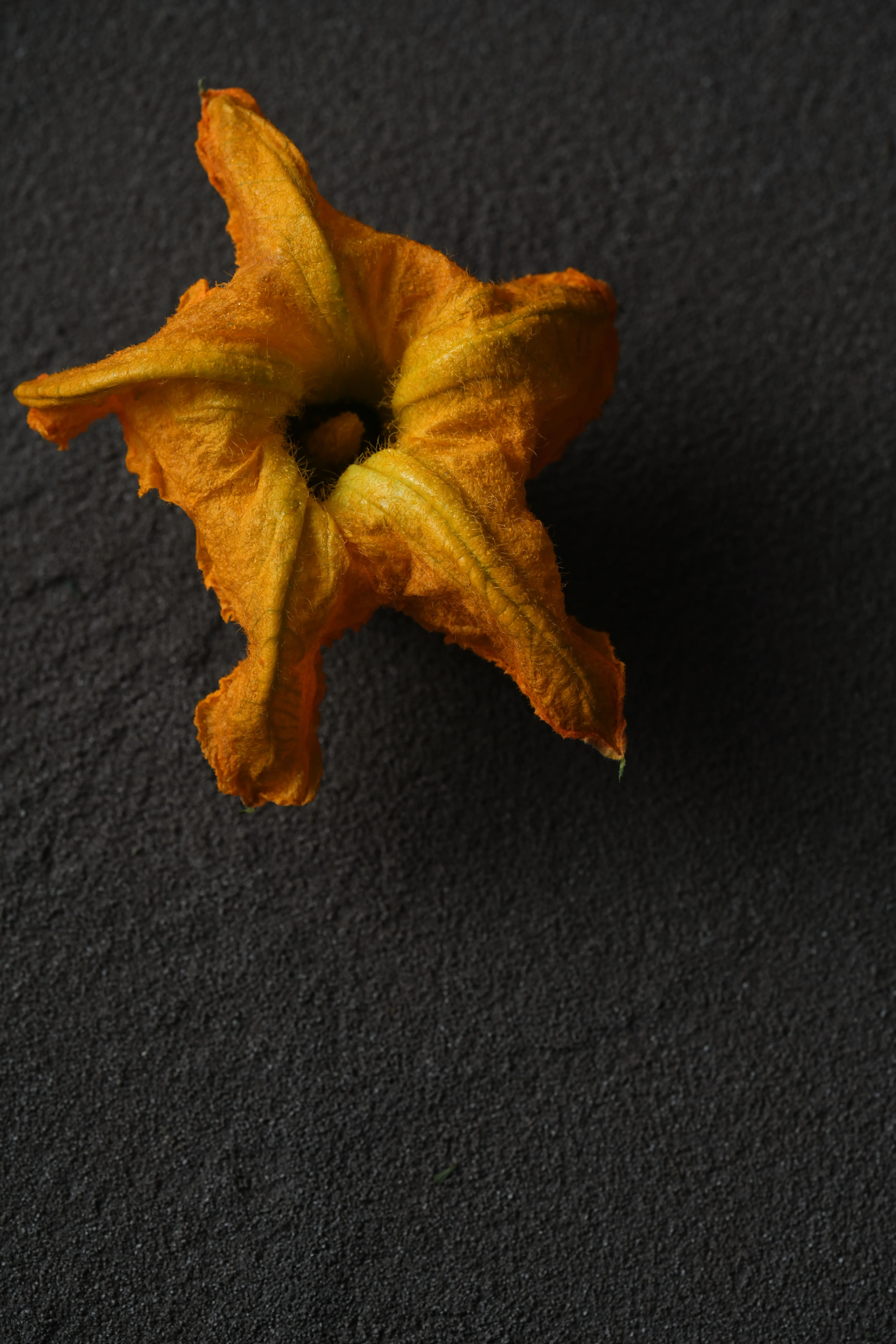 Yuan Cuisine Photography image 61 by maxlux.art / 沉光