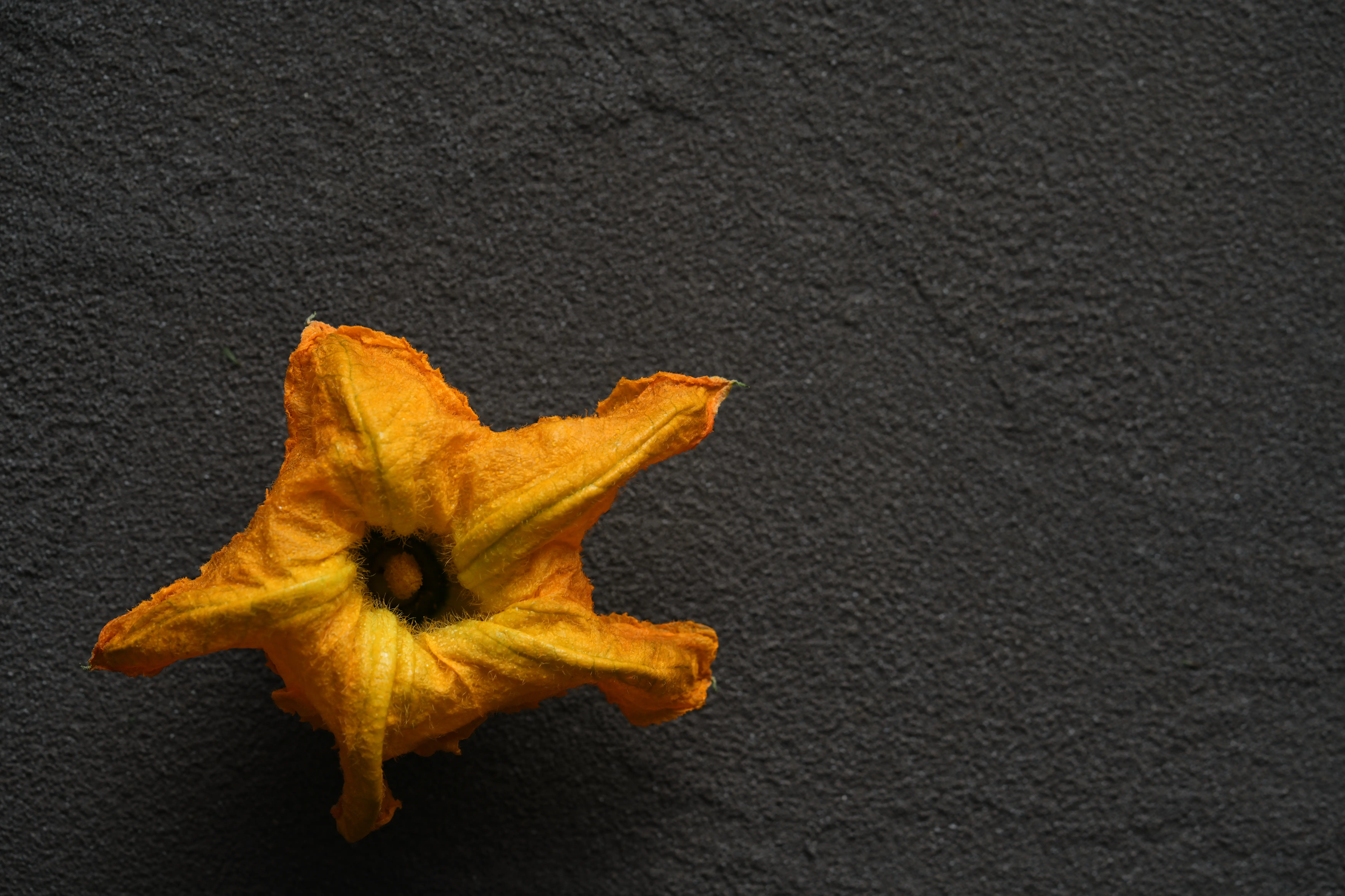 Yuan Cuisine Photography image 62 by maxlux.art / 沉光
