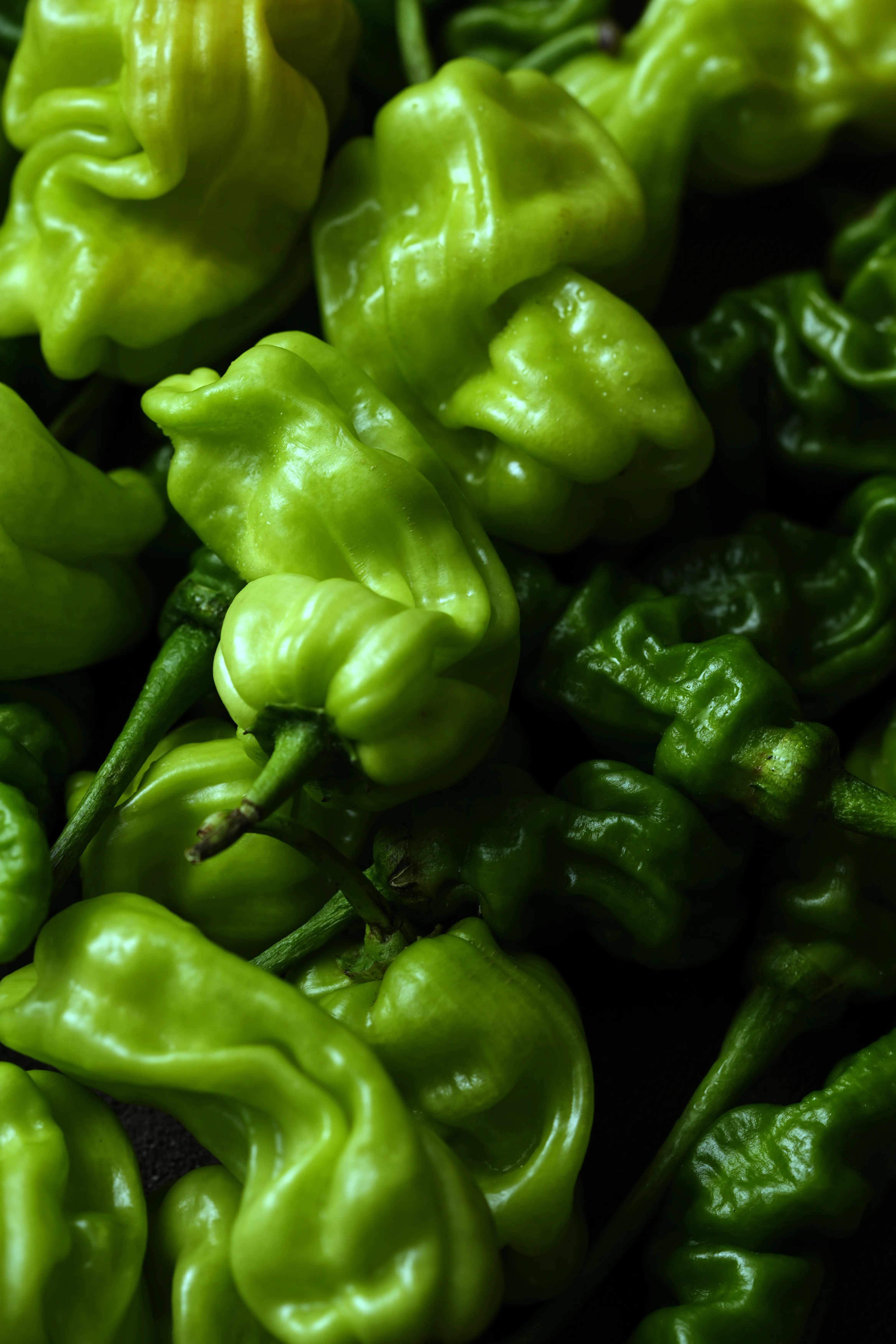 Yuan Cuisine Photography image 64 by maxlux.art / 沉光