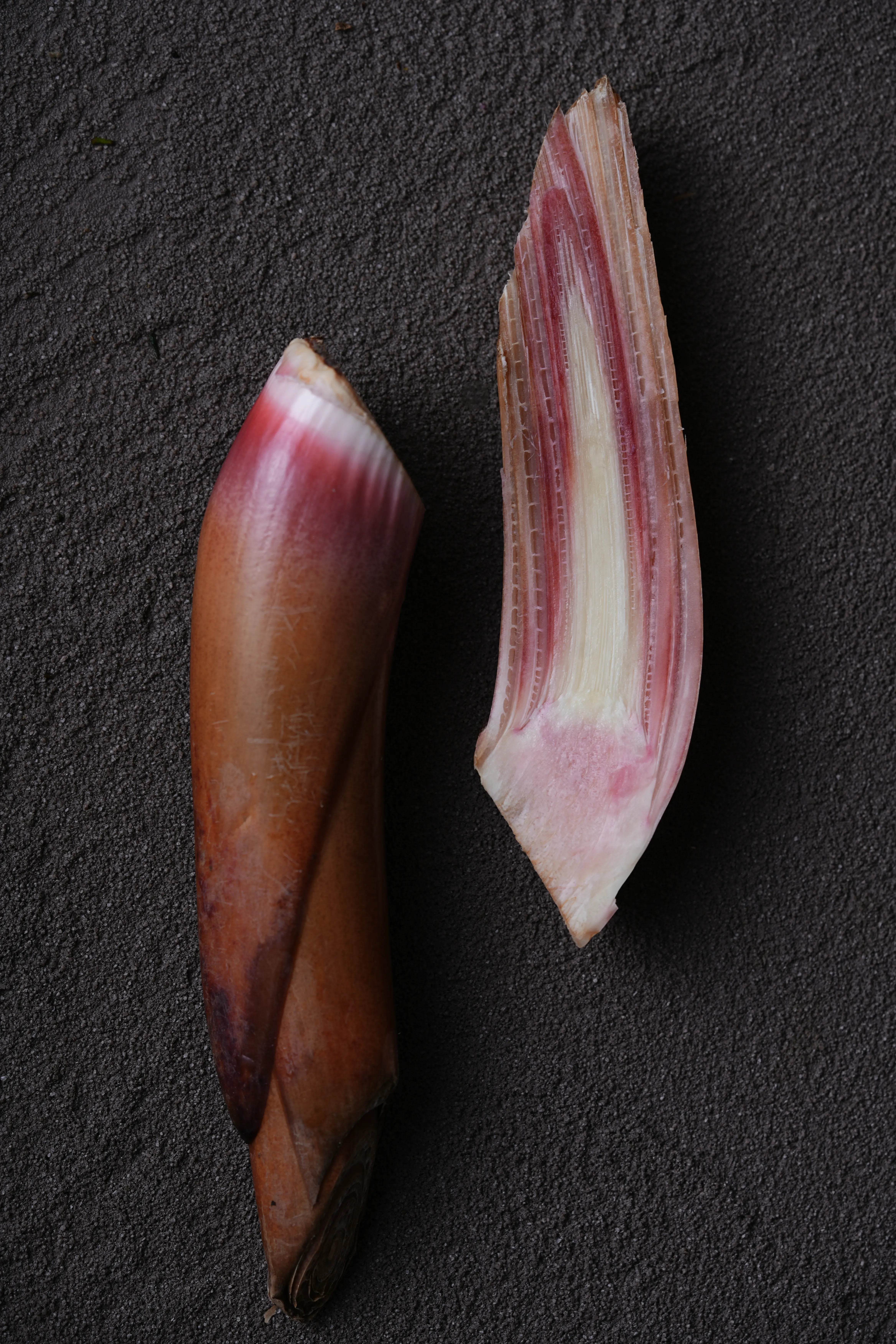 Yuan Cuisine Photography image 70 by maxlux.art / 沉光