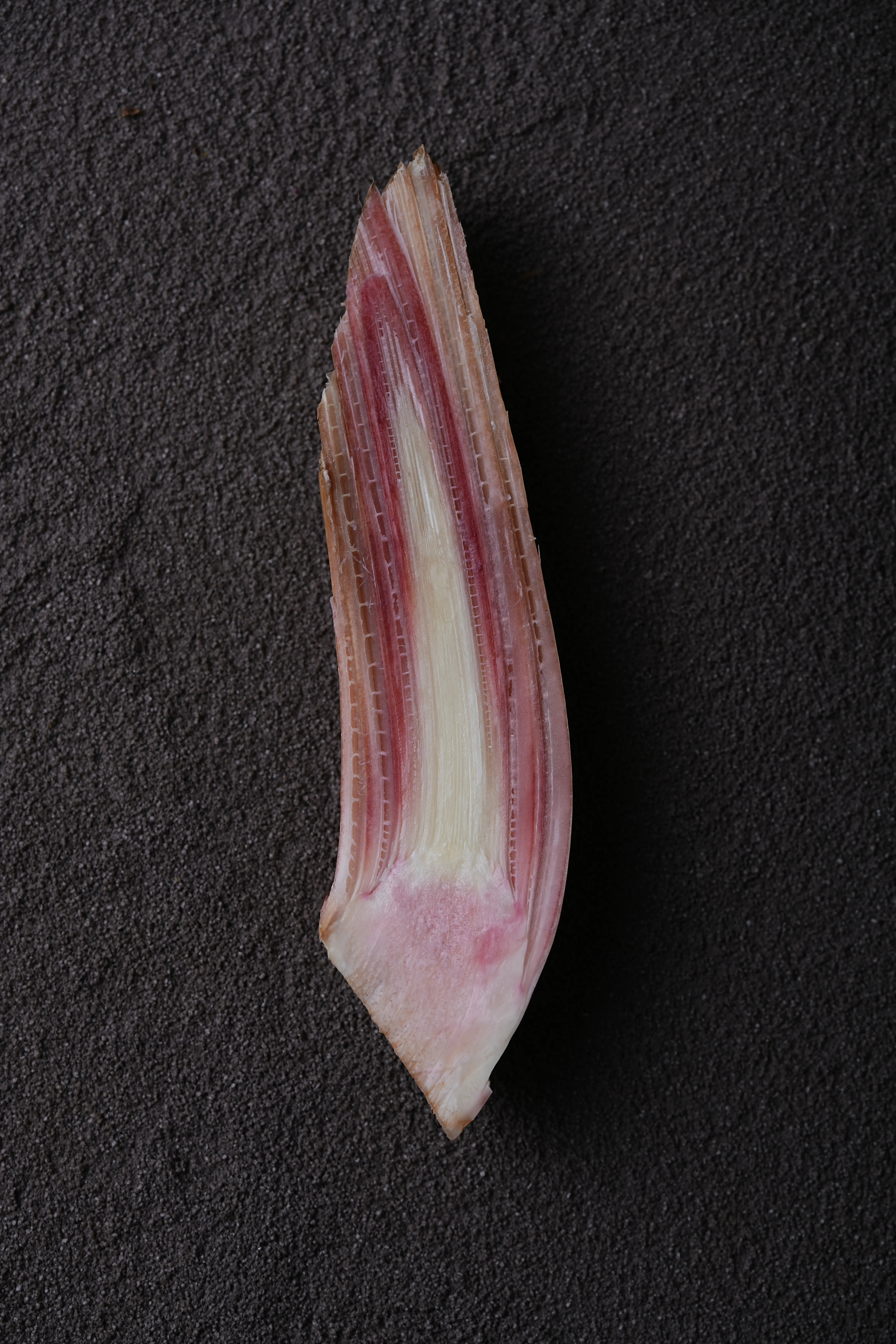 Yuan Cuisine Photography image 71 by maxlux.art / 沉光