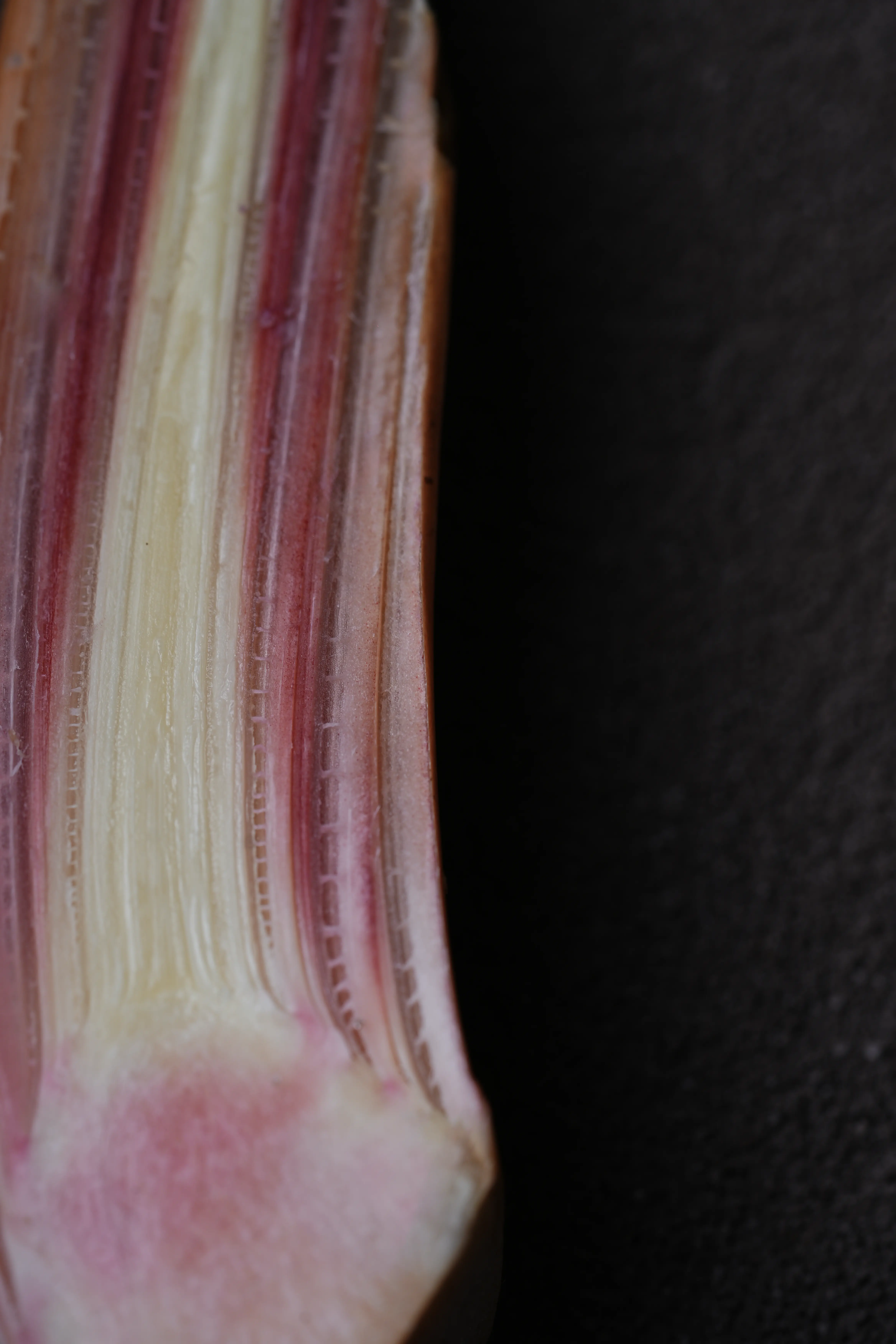 Yuan Cuisine Photography image 72 by maxlux.art / 沉光