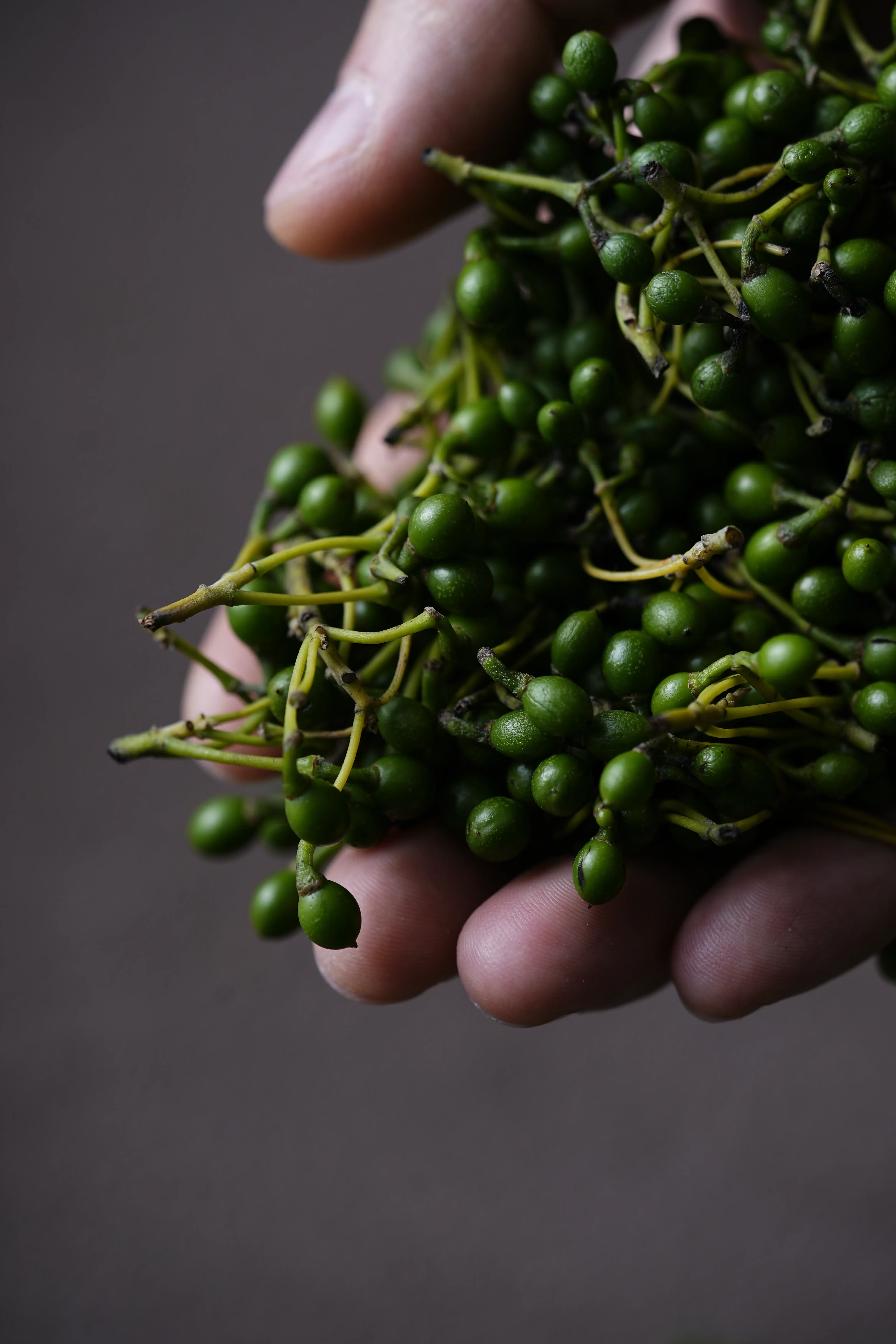 Yuan Cuisine Photography image 76 by maxlux.art / 沉光