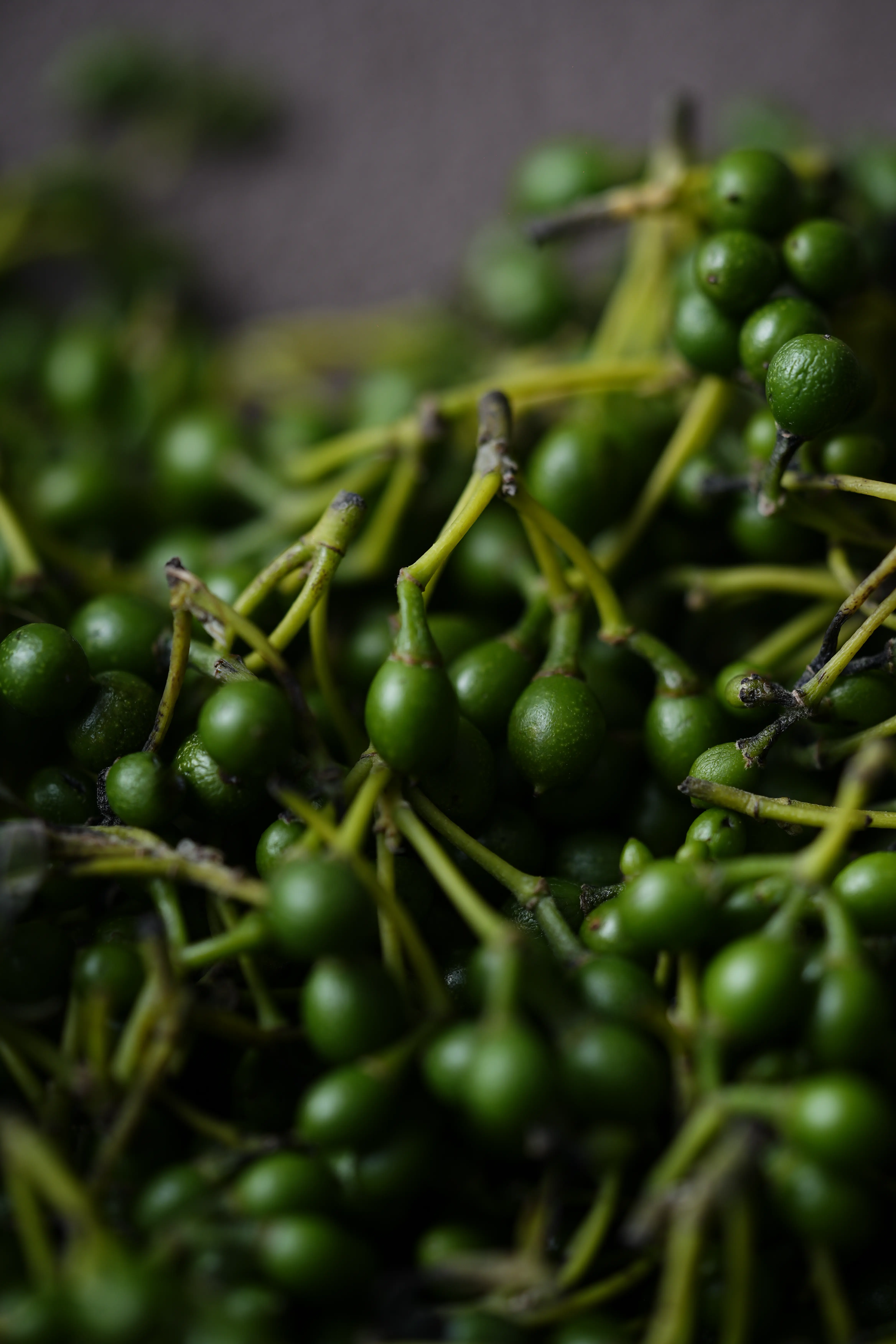 Yuan Cuisine Photography image 77 by maxlux.art / 沉光