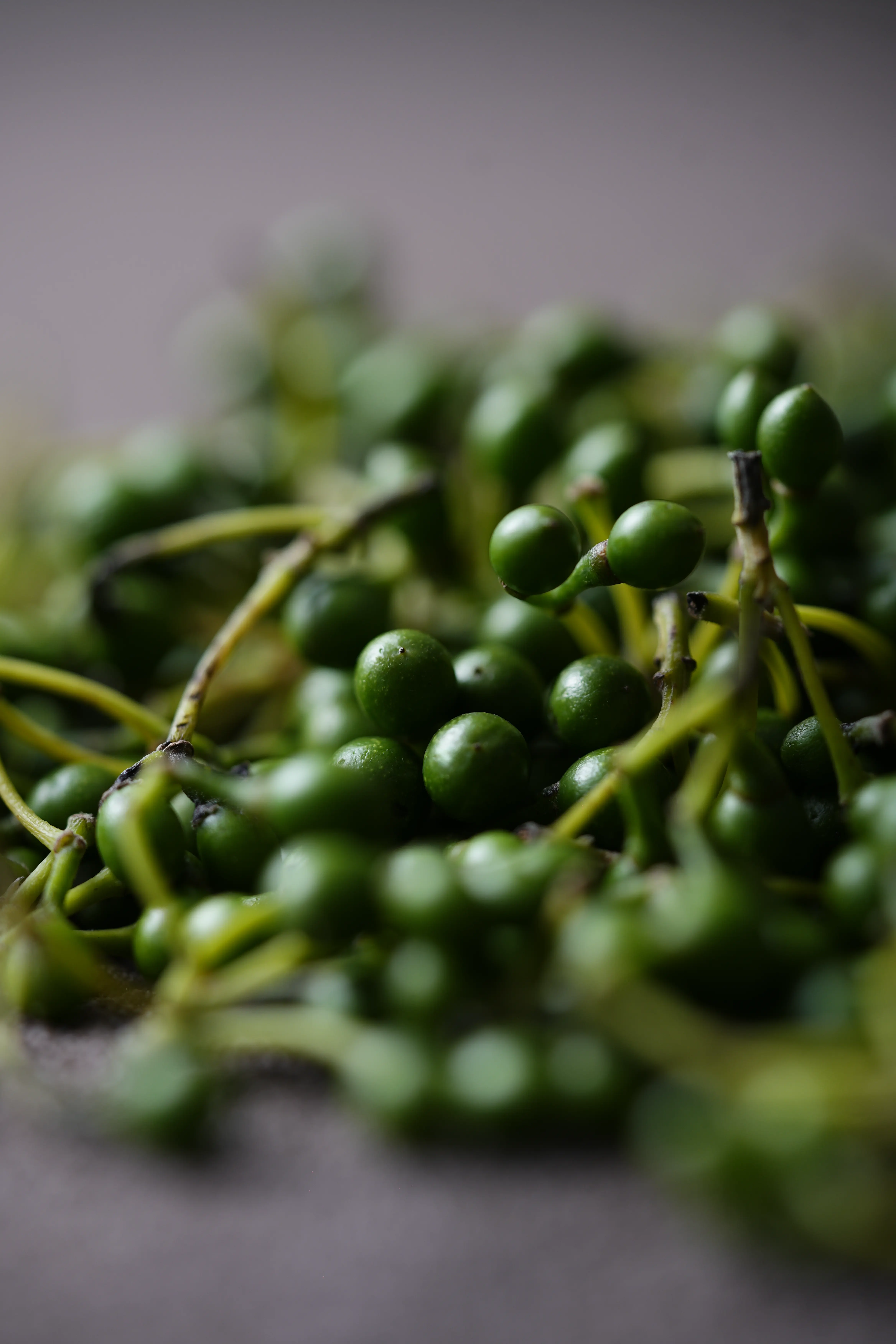 Yuan Cuisine Photography image 78 by maxlux.art / 沉光