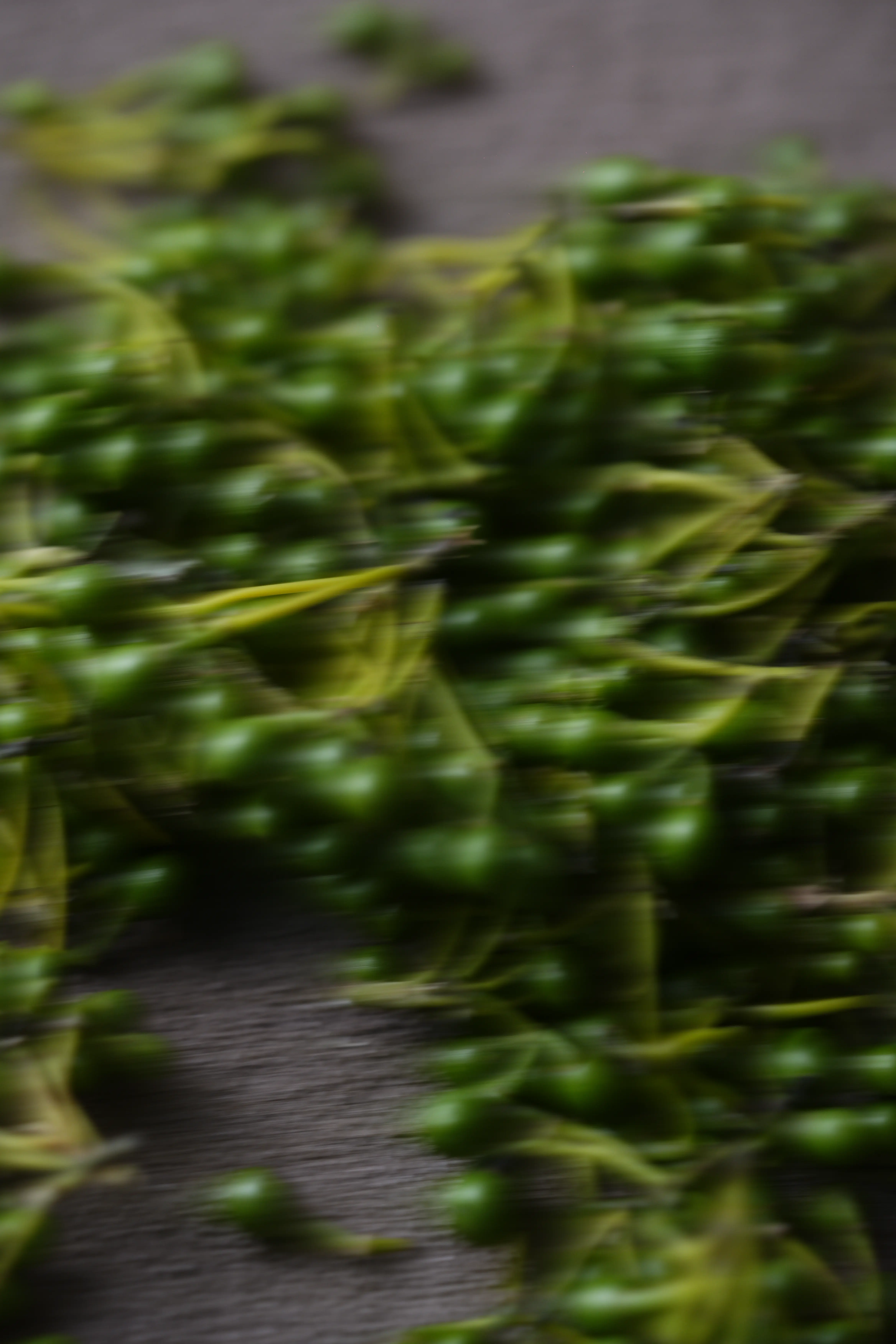 Yuan Cuisine Photography image 79 by maxlux.art / 沉光