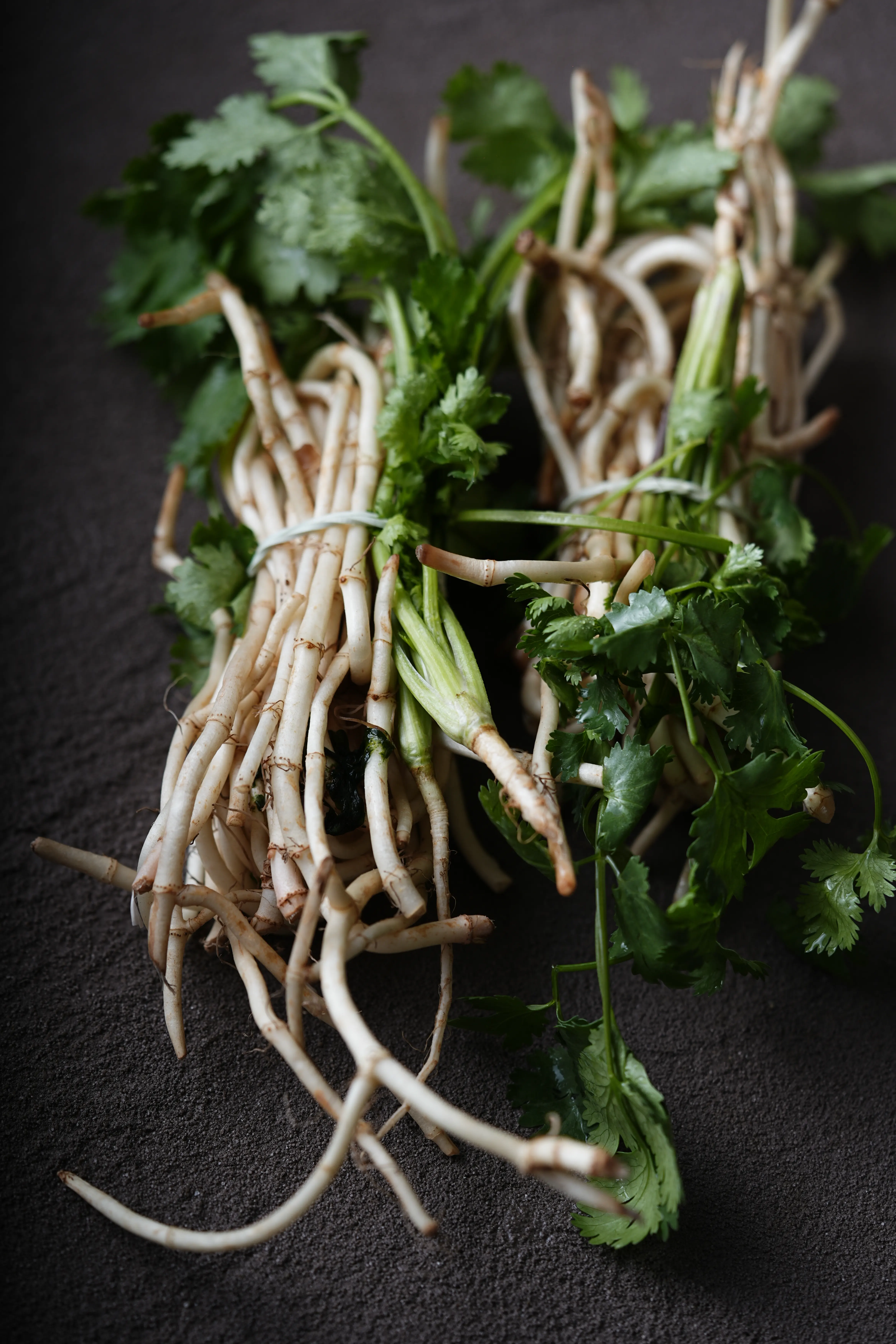 Yuan Cuisine Photography image 84 by maxlux.art / 沉光
