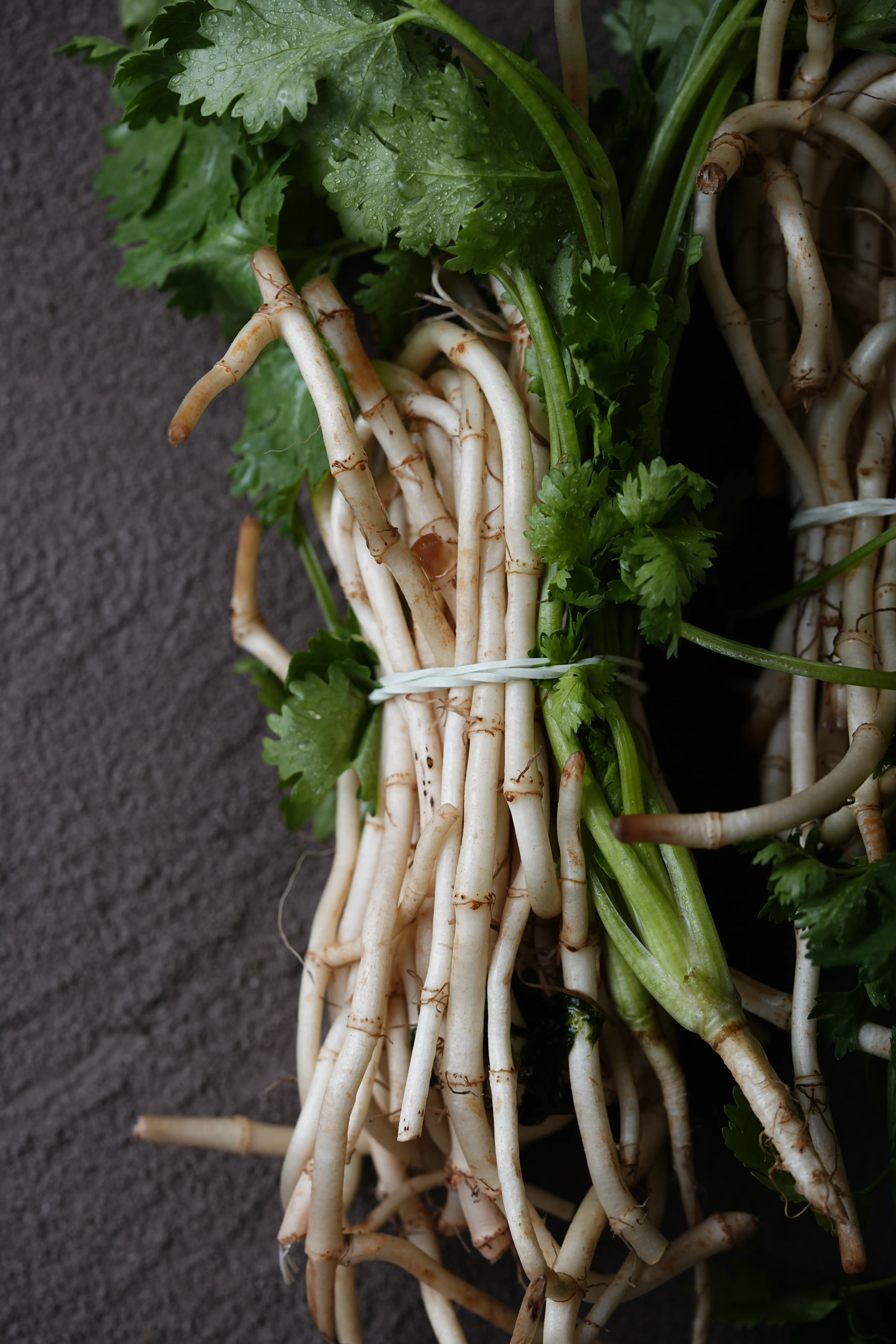 Yuan Cuisine Photography image 85 by maxlux.art / 沉光