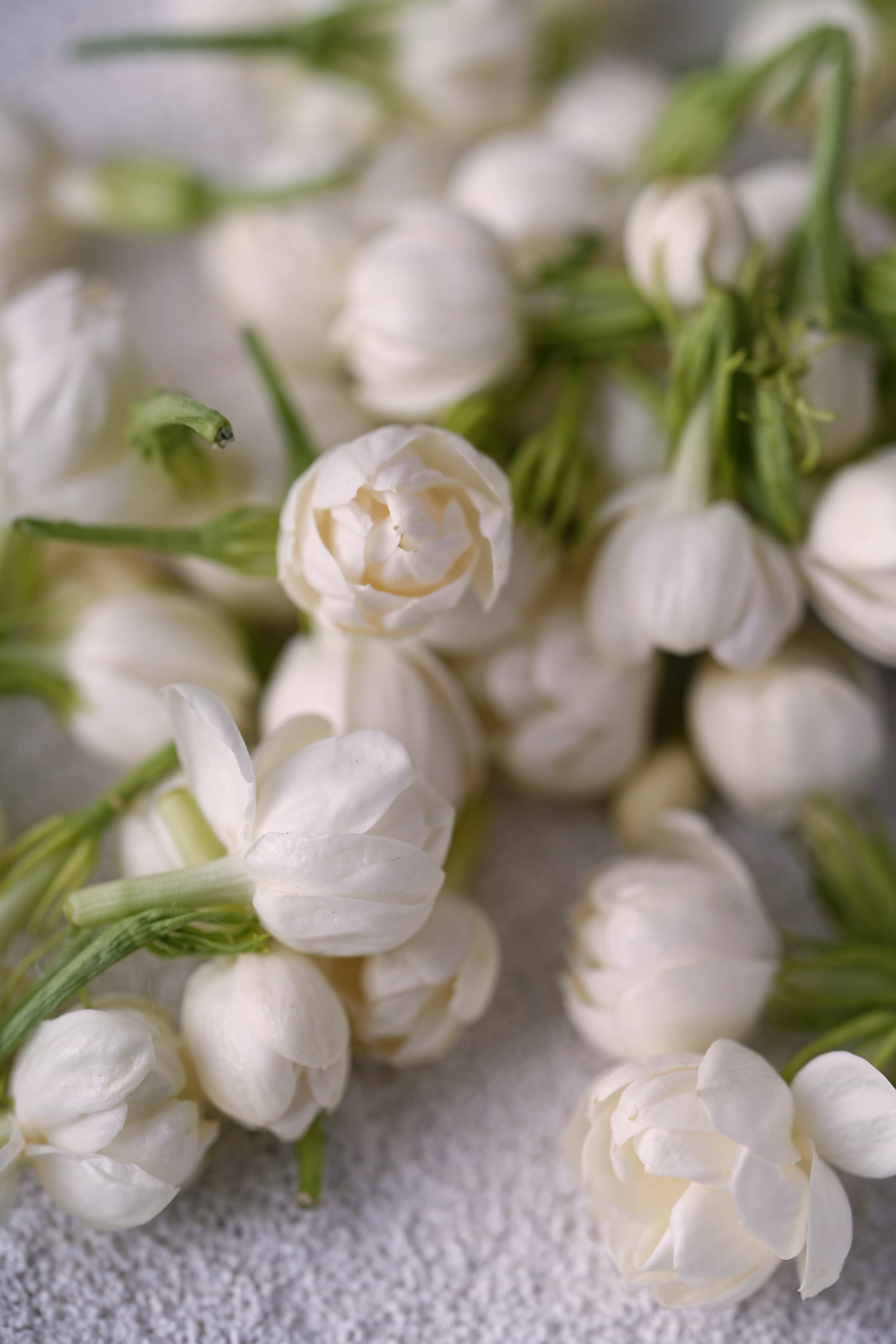 Yuan Cuisine Photography image 10 by maxlux.art / 沉光