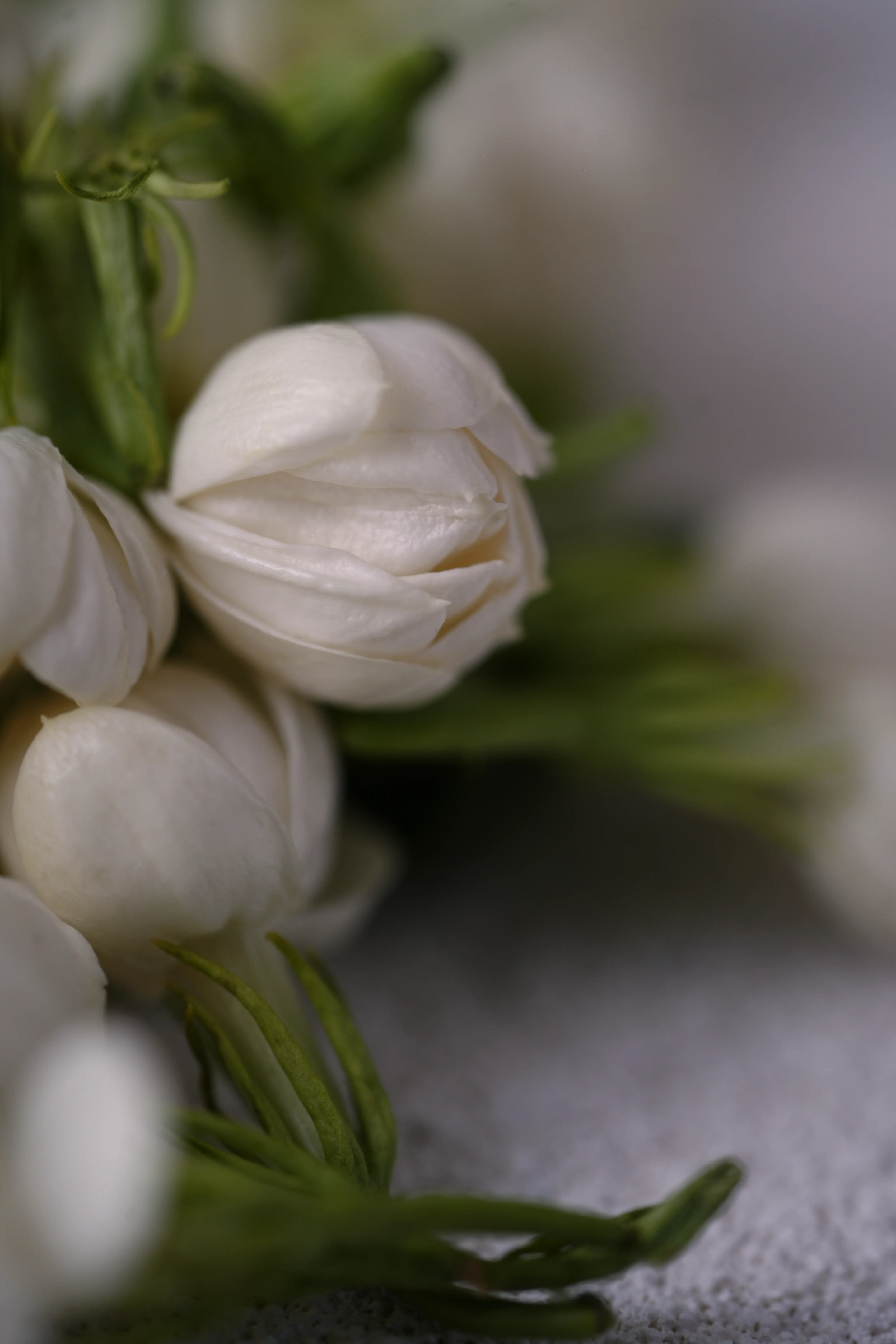 Yuan Cuisine Photography image 11 by maxlux.art / 沉光