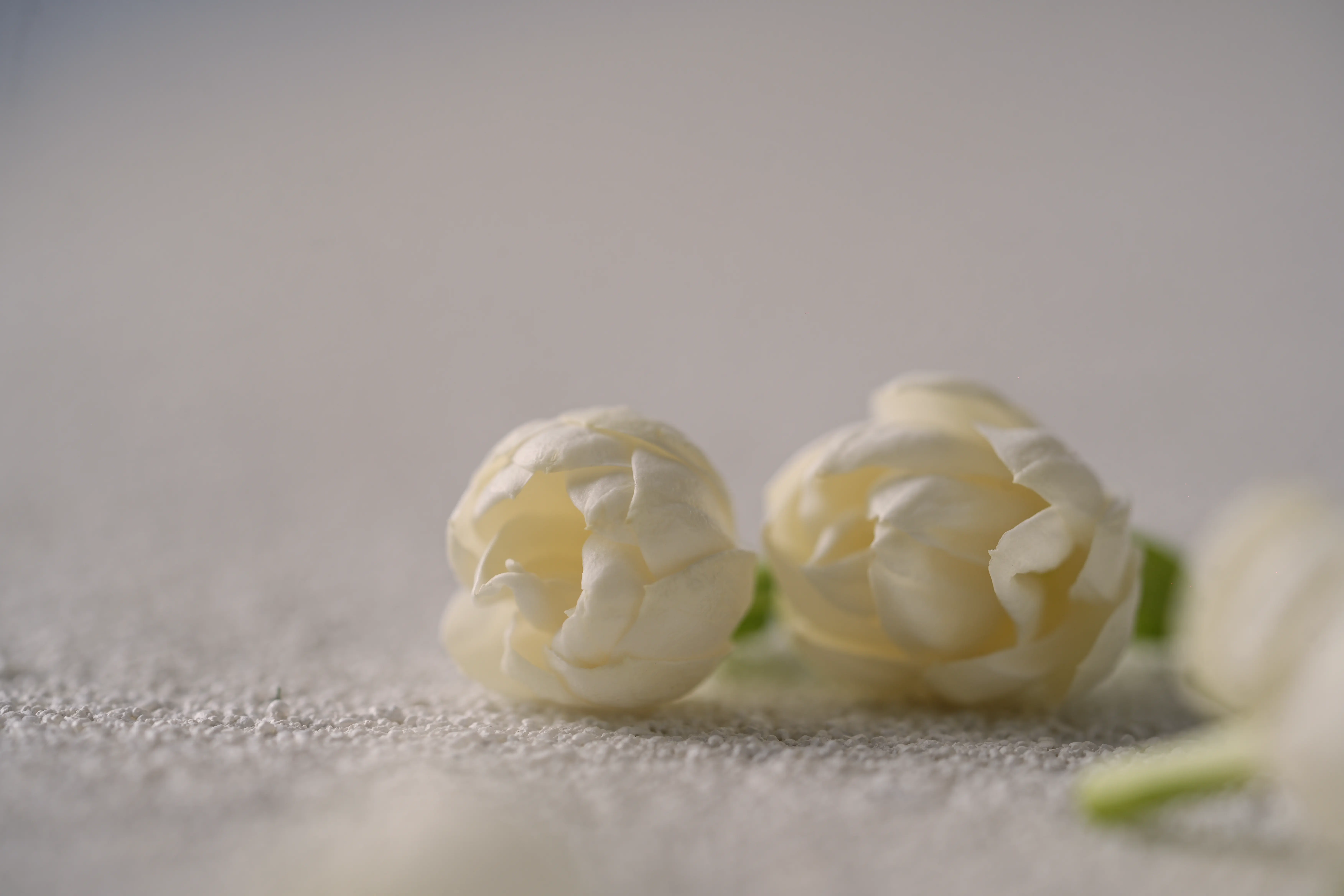 Yuan Cuisine Photography image 12 by maxlux.art / 沉光