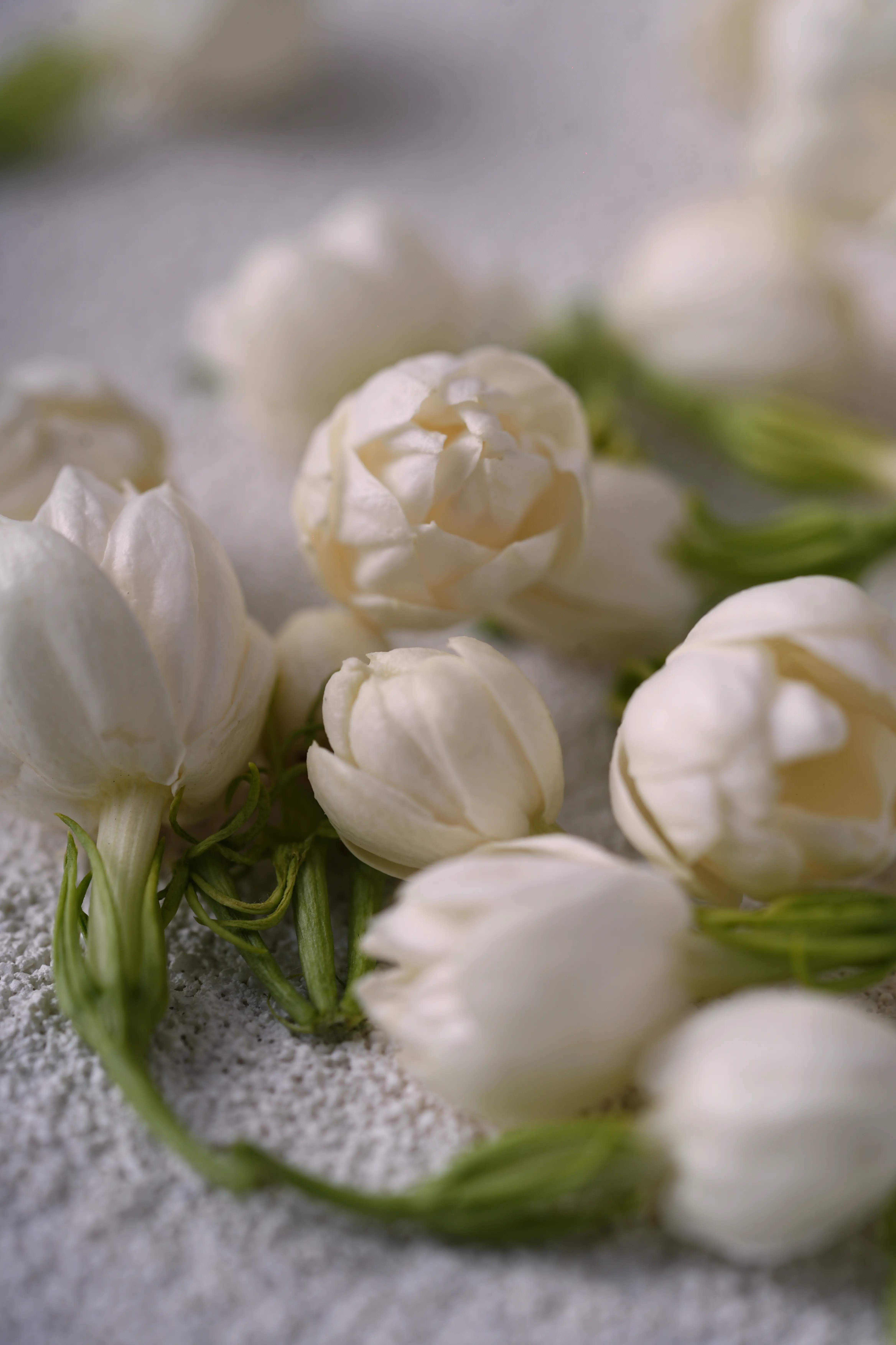 Yuan Cuisine Photography image 13 by maxlux.art / 沉光
