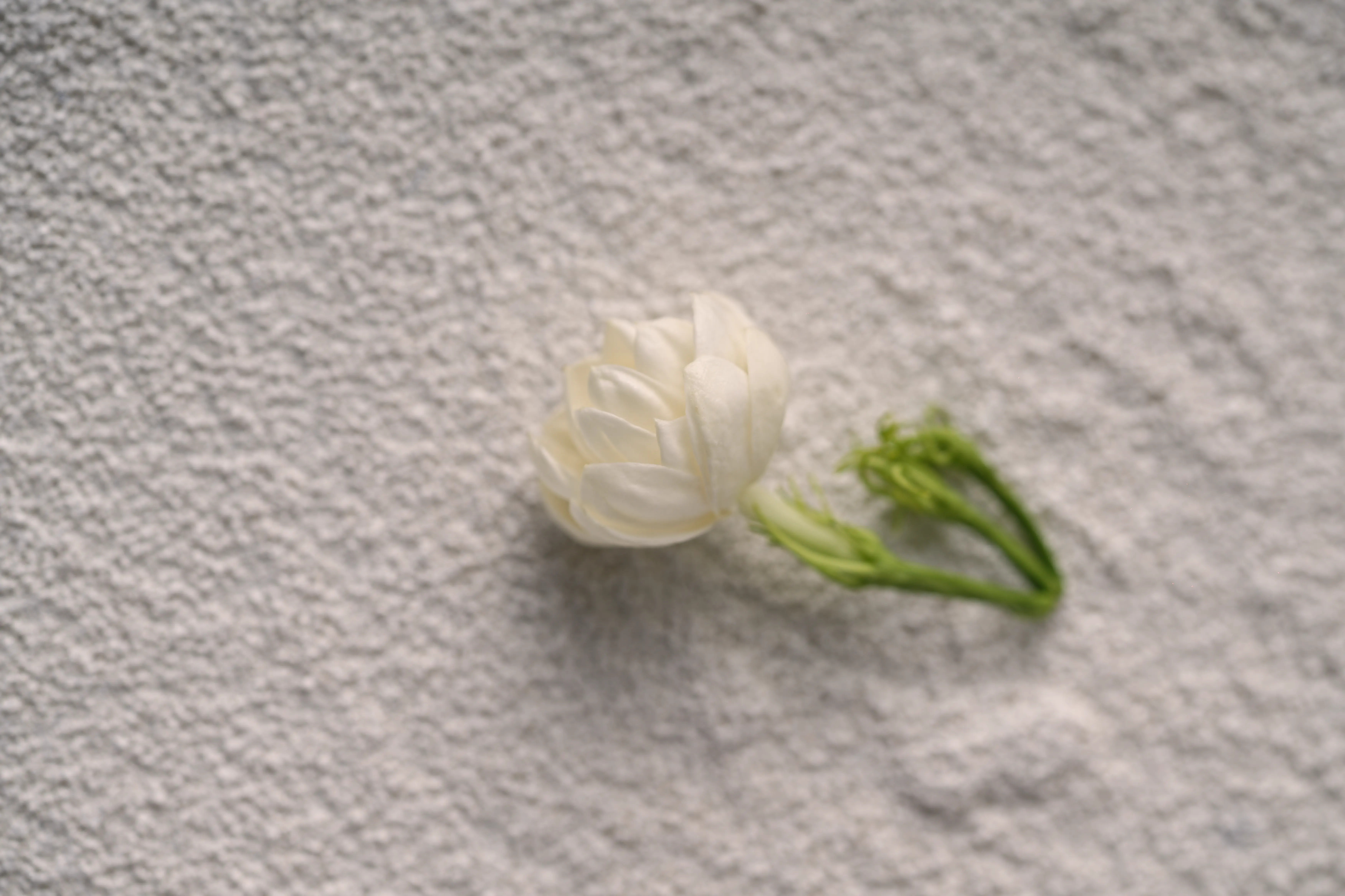 Yuan Cuisine Photography image 14 by maxlux.art / 沉光