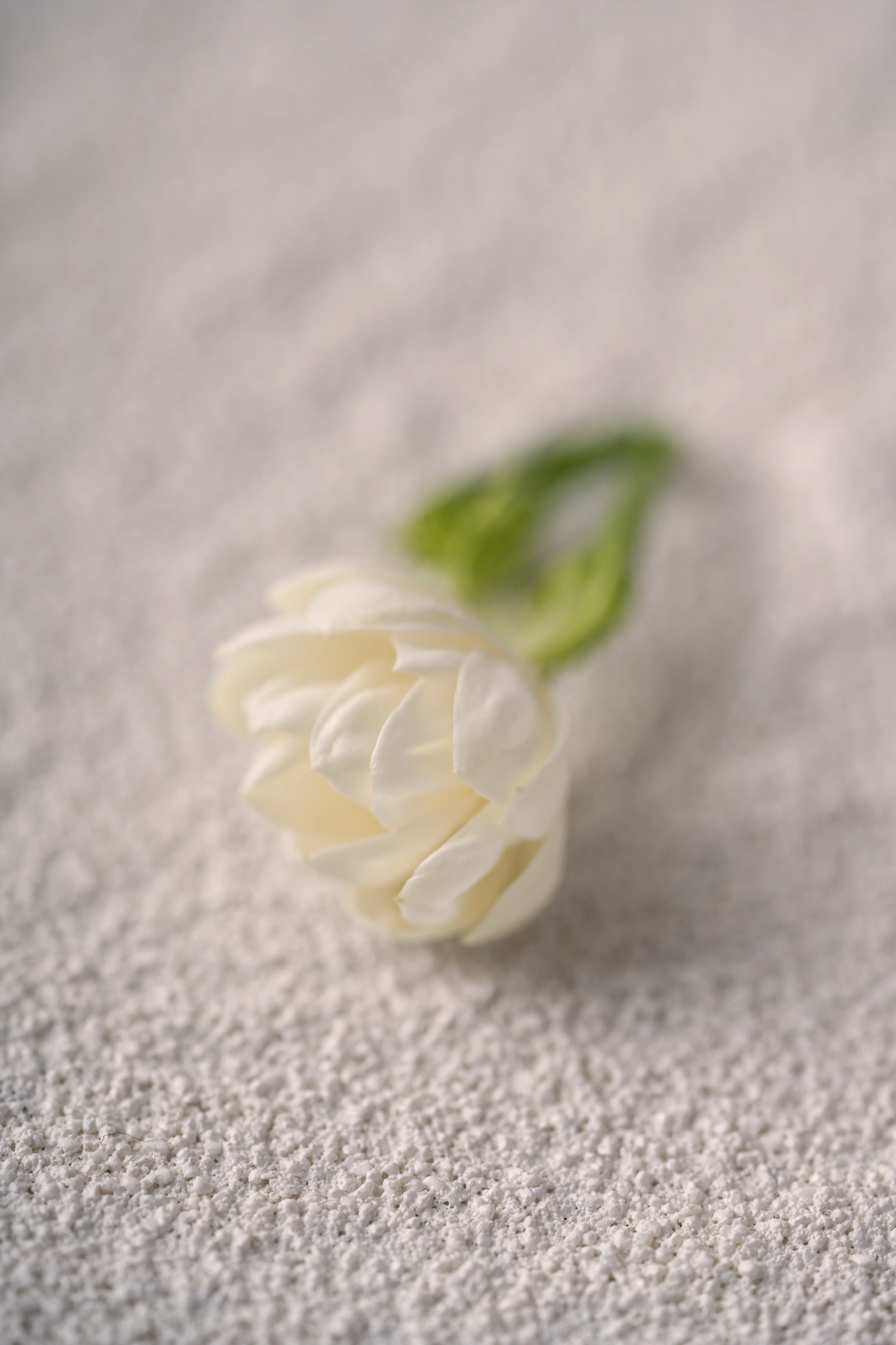 Yuan Cuisine Photography image 15 by maxlux.art / 沉光