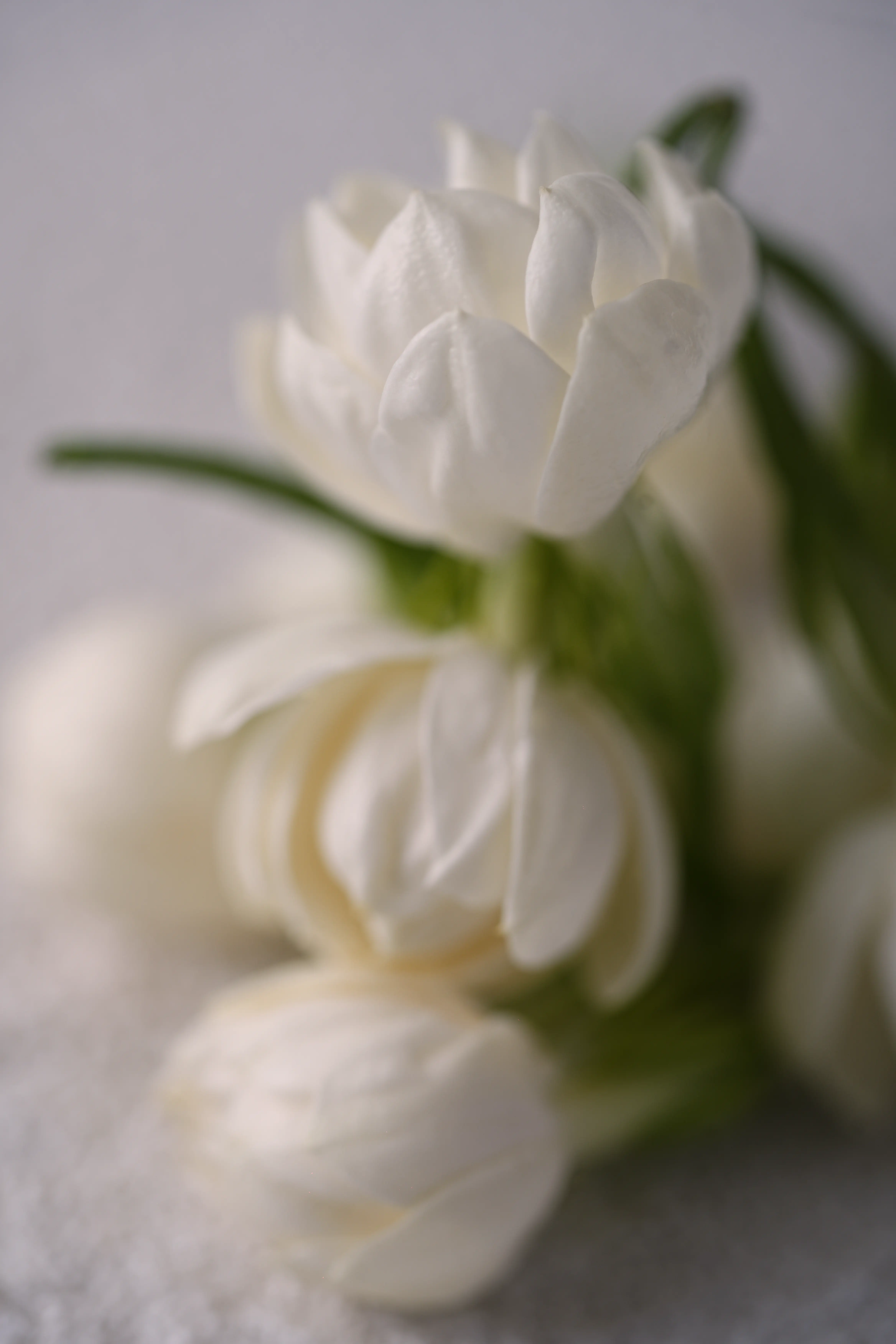 Yuan Cuisine Photography image 16 by maxlux.art / 沉光