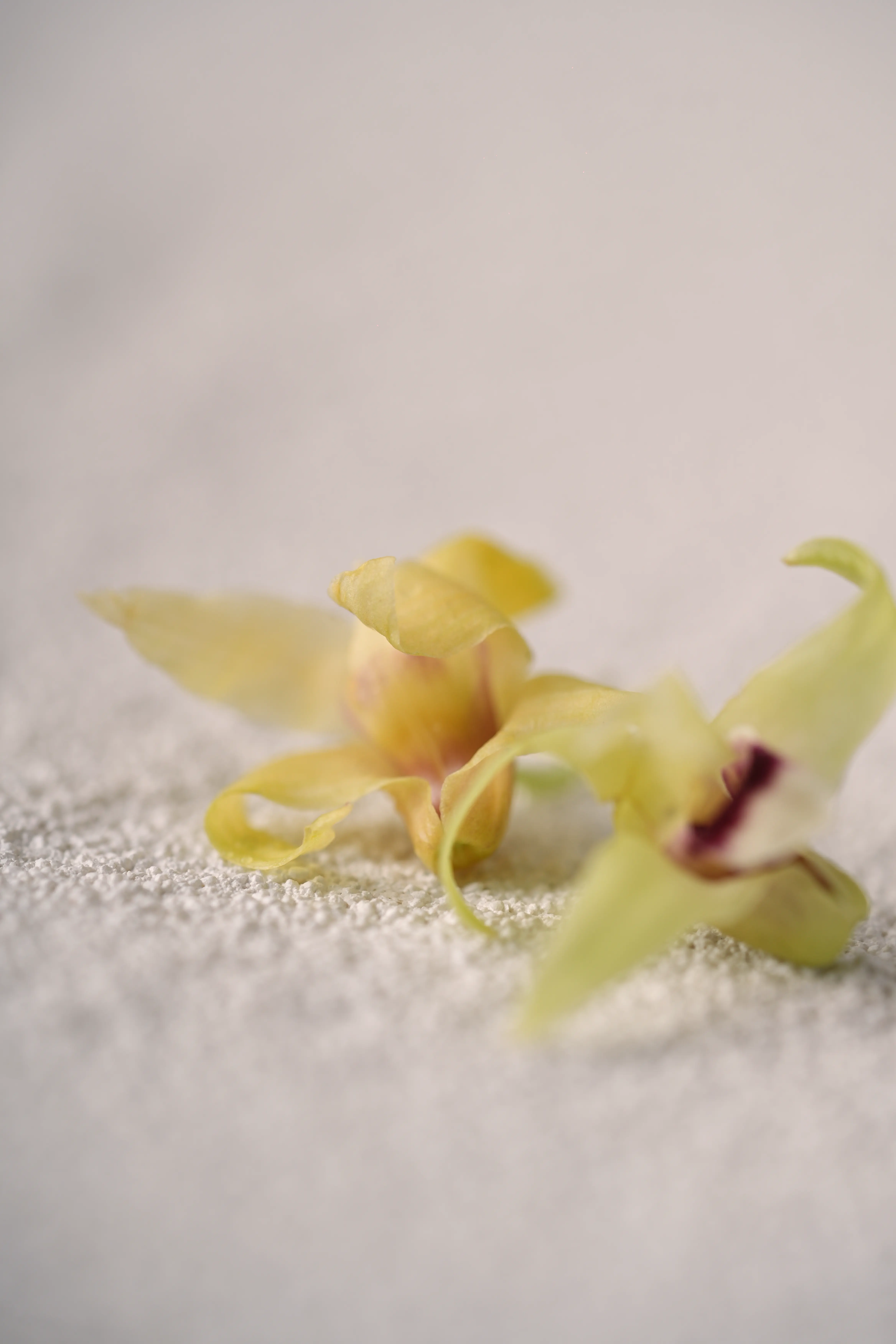 Yuan Cuisine Photography image 18 by maxlux.art / 沉光