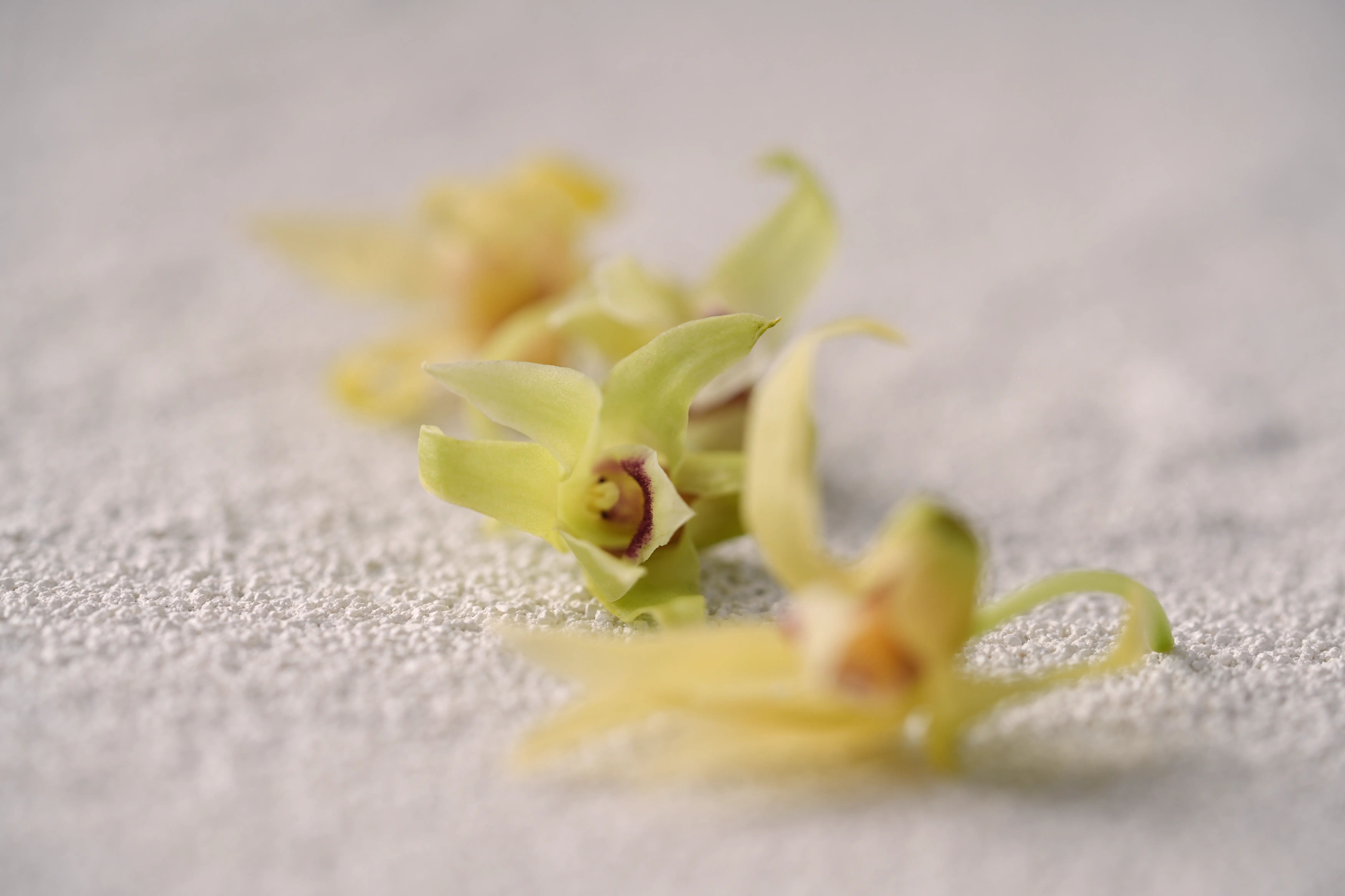 Yuan Cuisine Photography image 19 by maxlux.art / 沉光