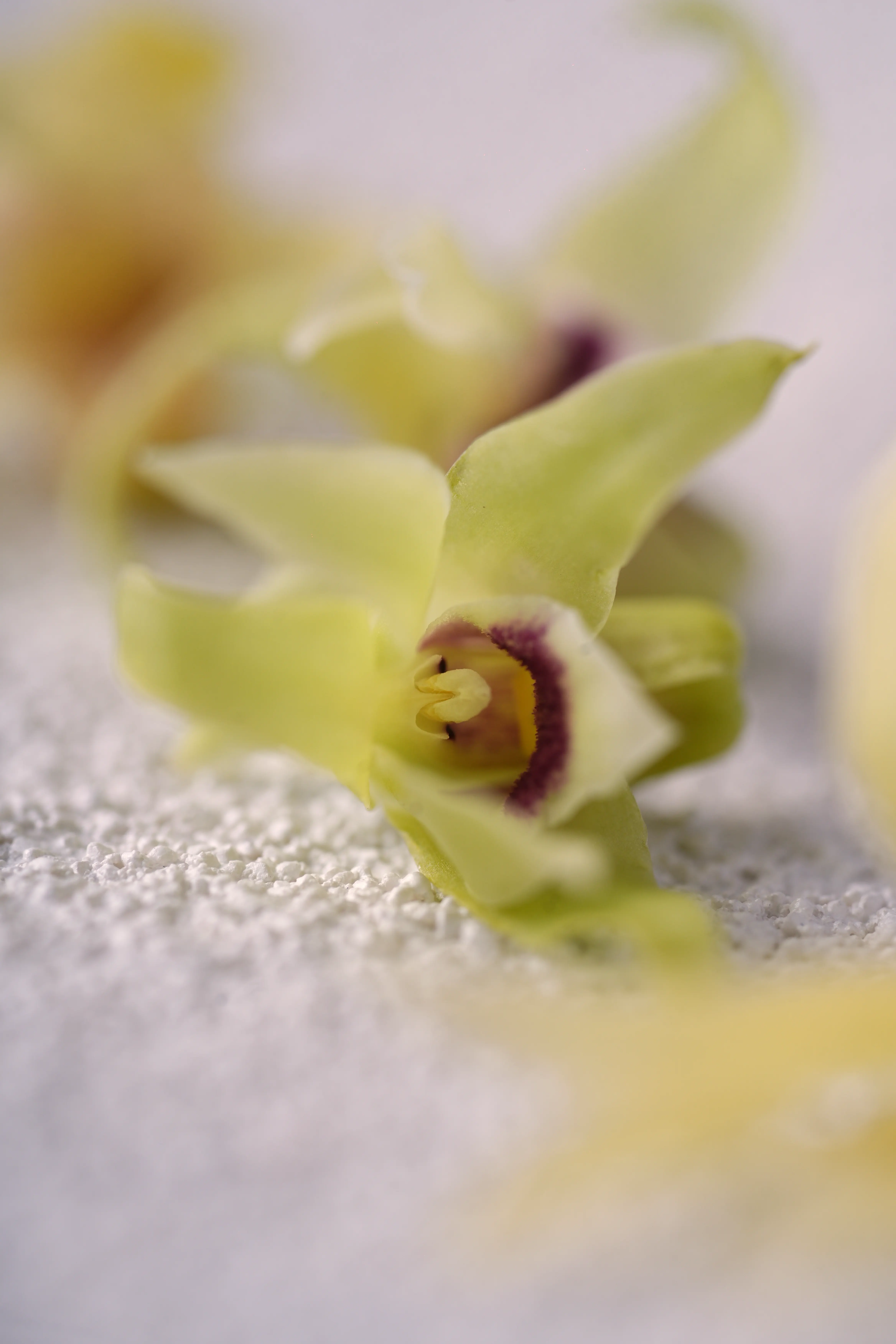 Yuan Cuisine Photography image 20 by maxlux.art / 沉光