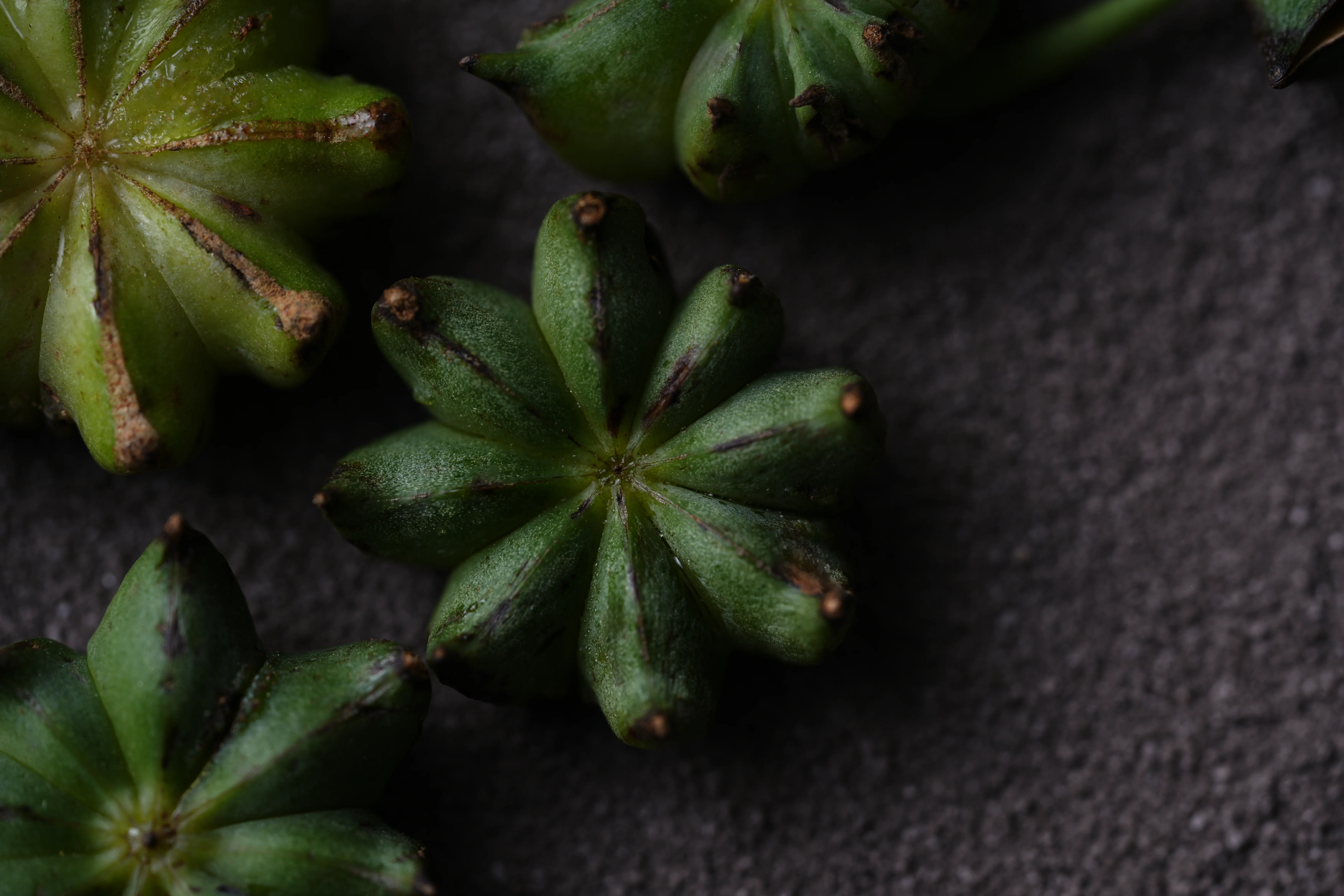 Yuan Cuisine Photography image 21 by maxlux.art / 沉光