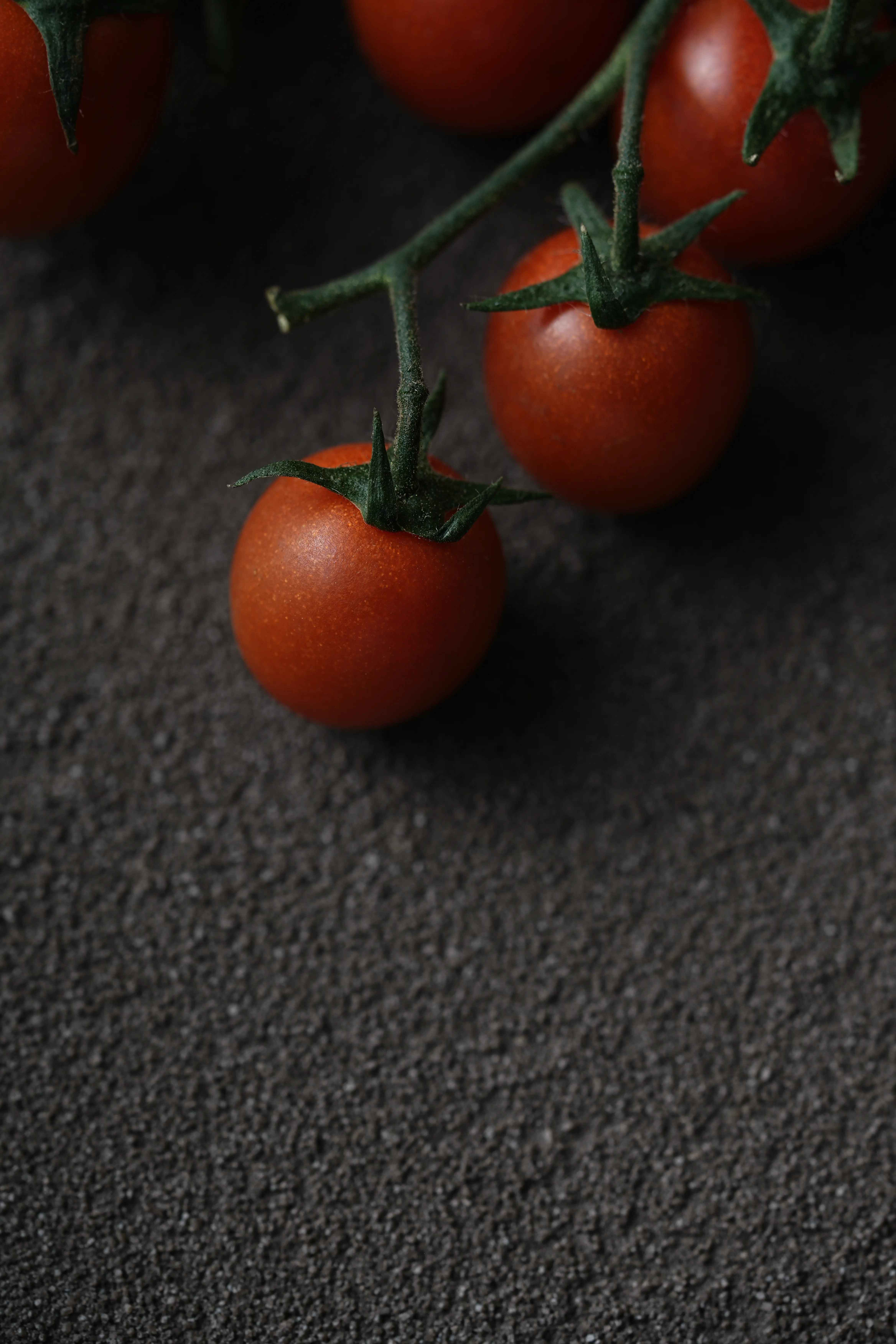 Yuan Cuisine Photography image 25 by maxlux.art / 沉光