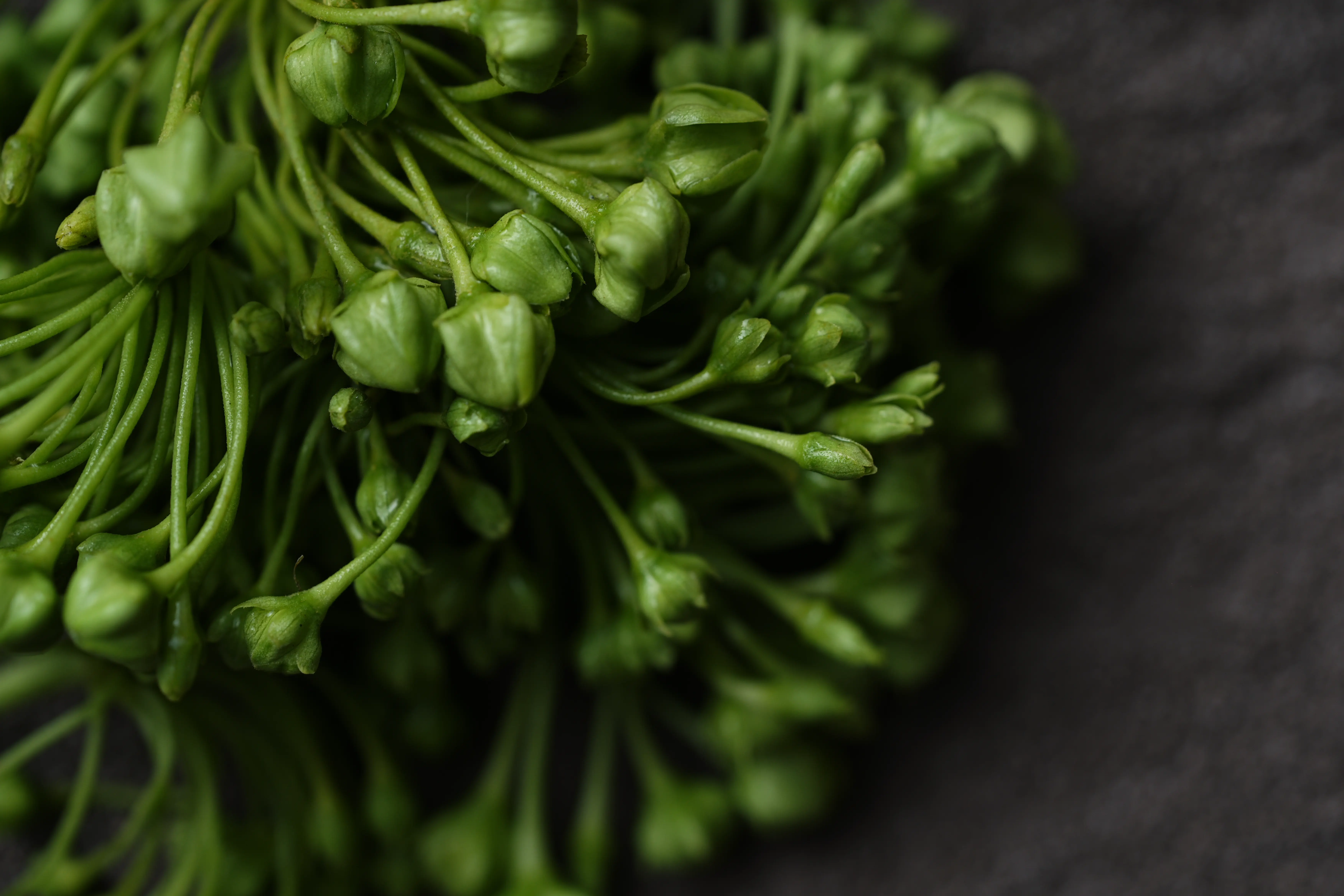 Yuan Cuisine Photography image 32 by maxlux.art / 沉光