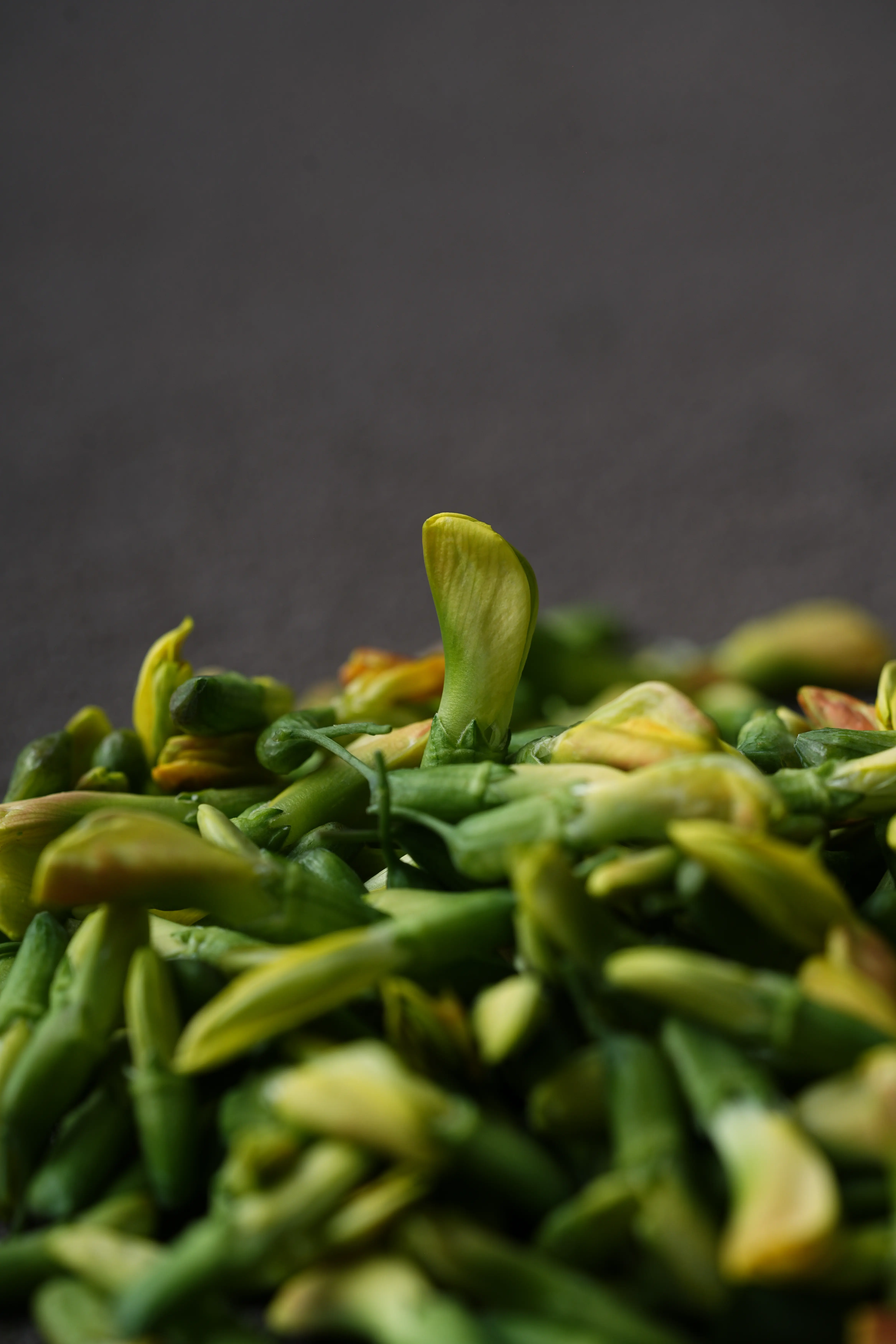 Yuan Cuisine Photography image 37 by maxlux.art / 沉光