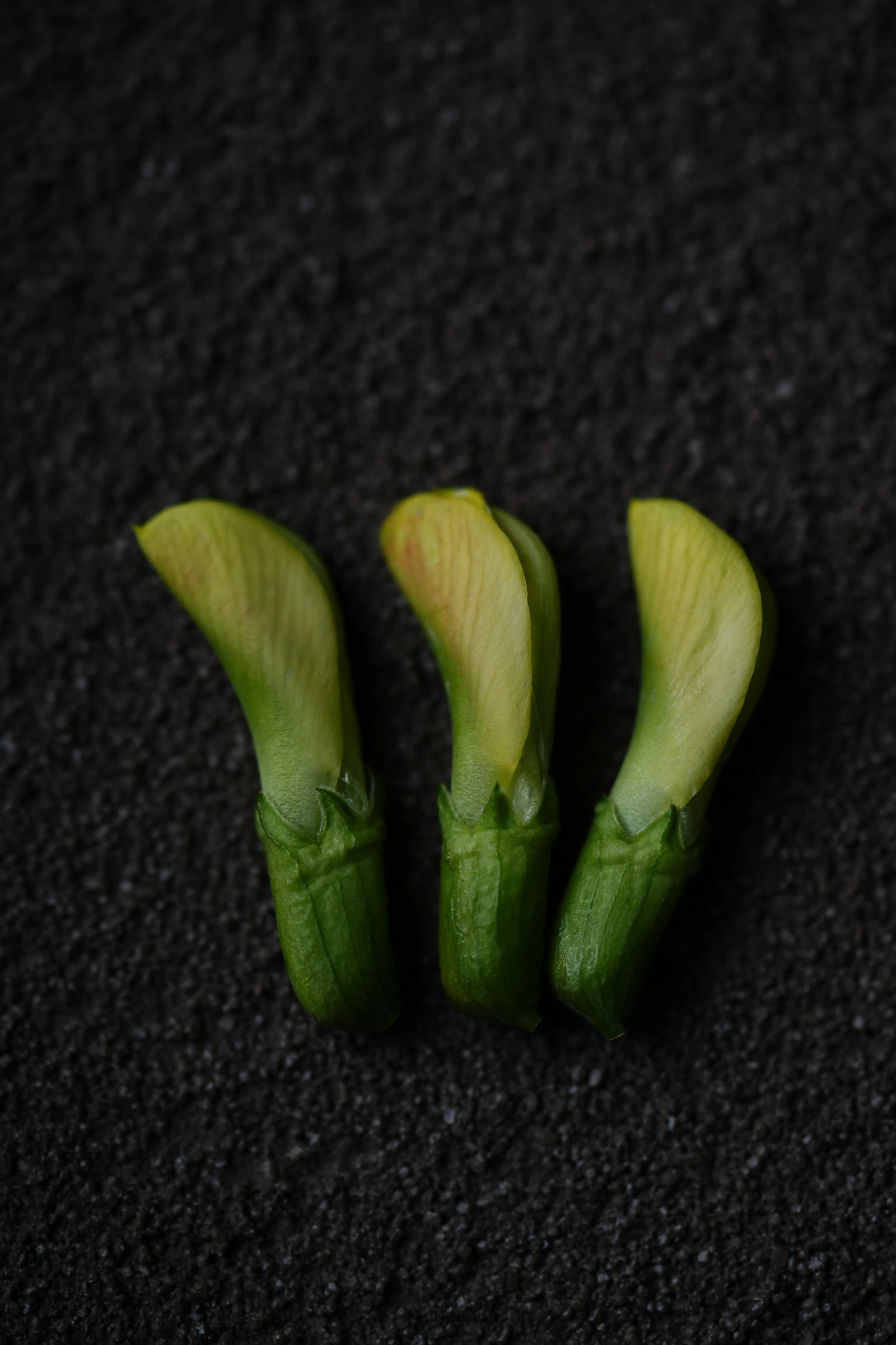 Yuan Cuisine Photography image 39 by maxlux.art / 沉光