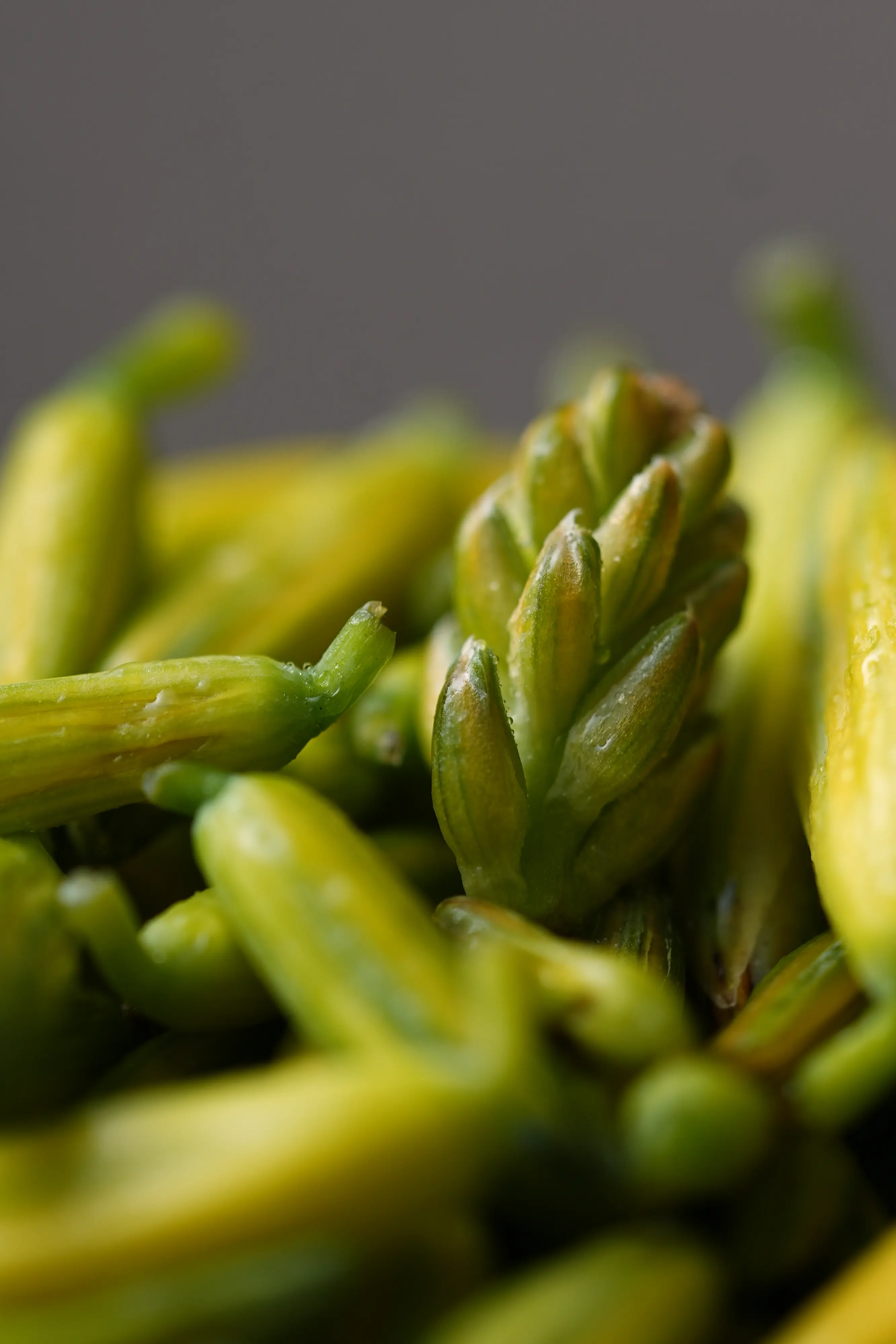 Yuan Cuisine Photography image 41 by maxlux.art / 沉光