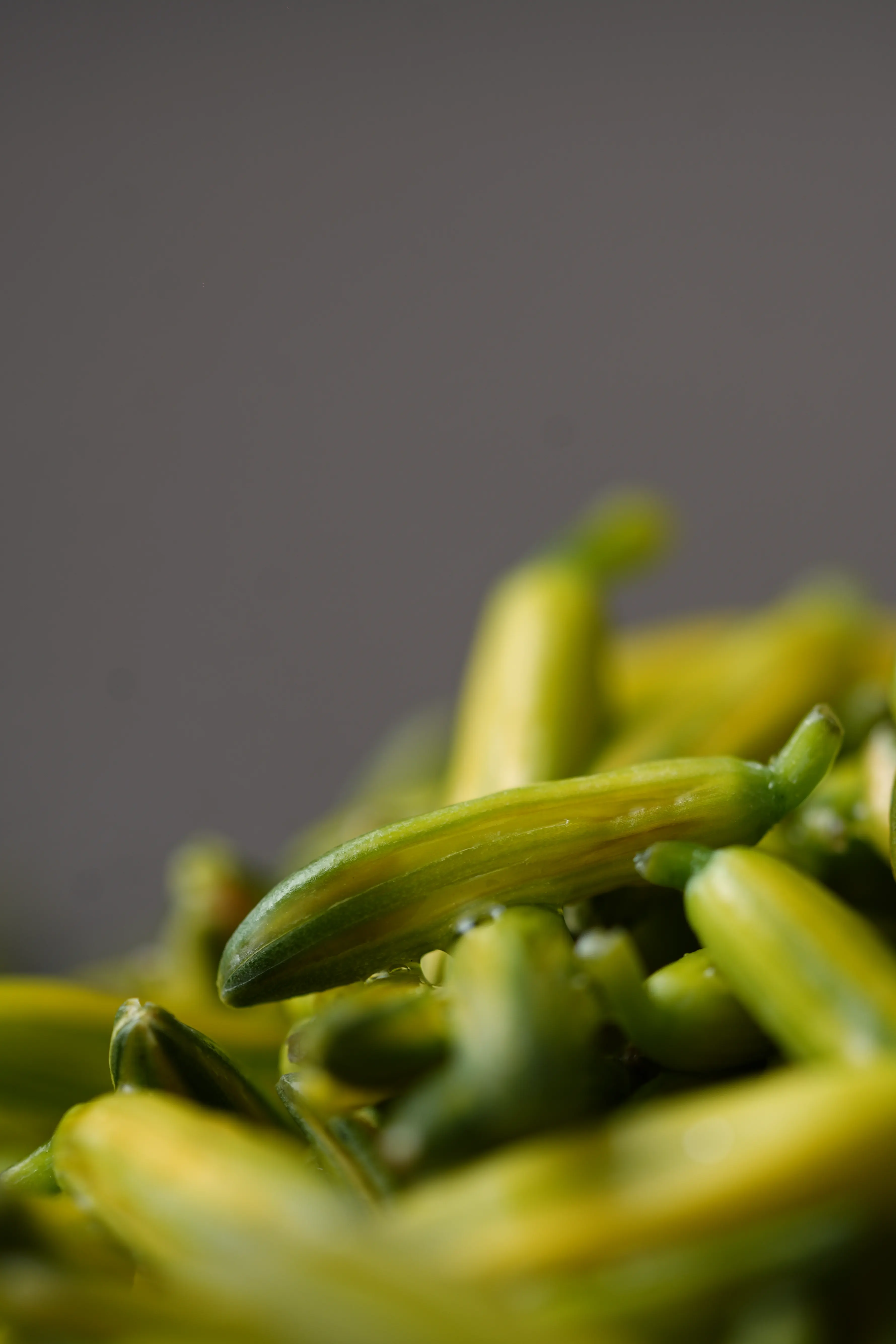 Yuan Cuisine Photography image 42 by maxlux.art / 沉光