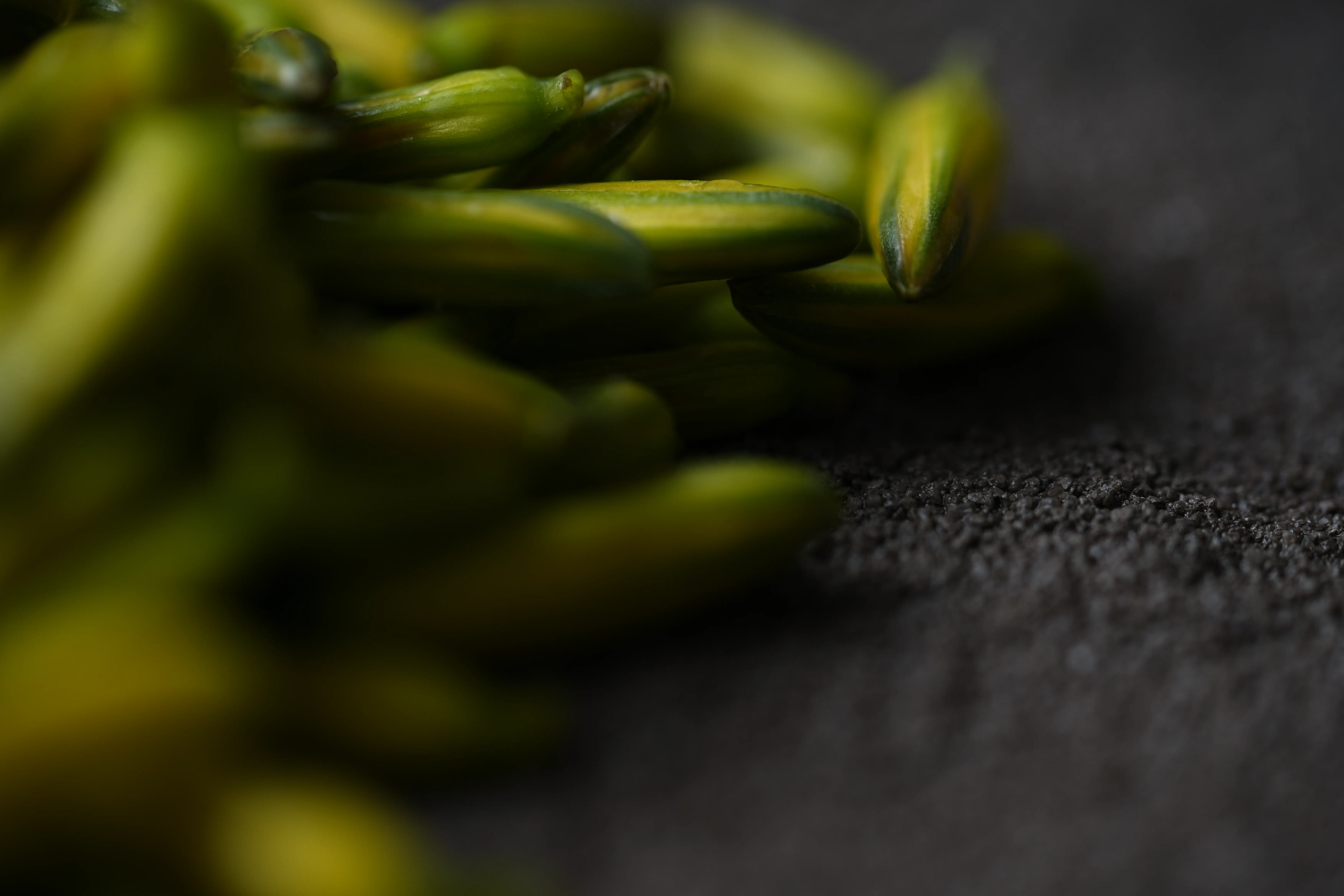 Yuan Cuisine Photography image 43 by maxlux.art / 沉光