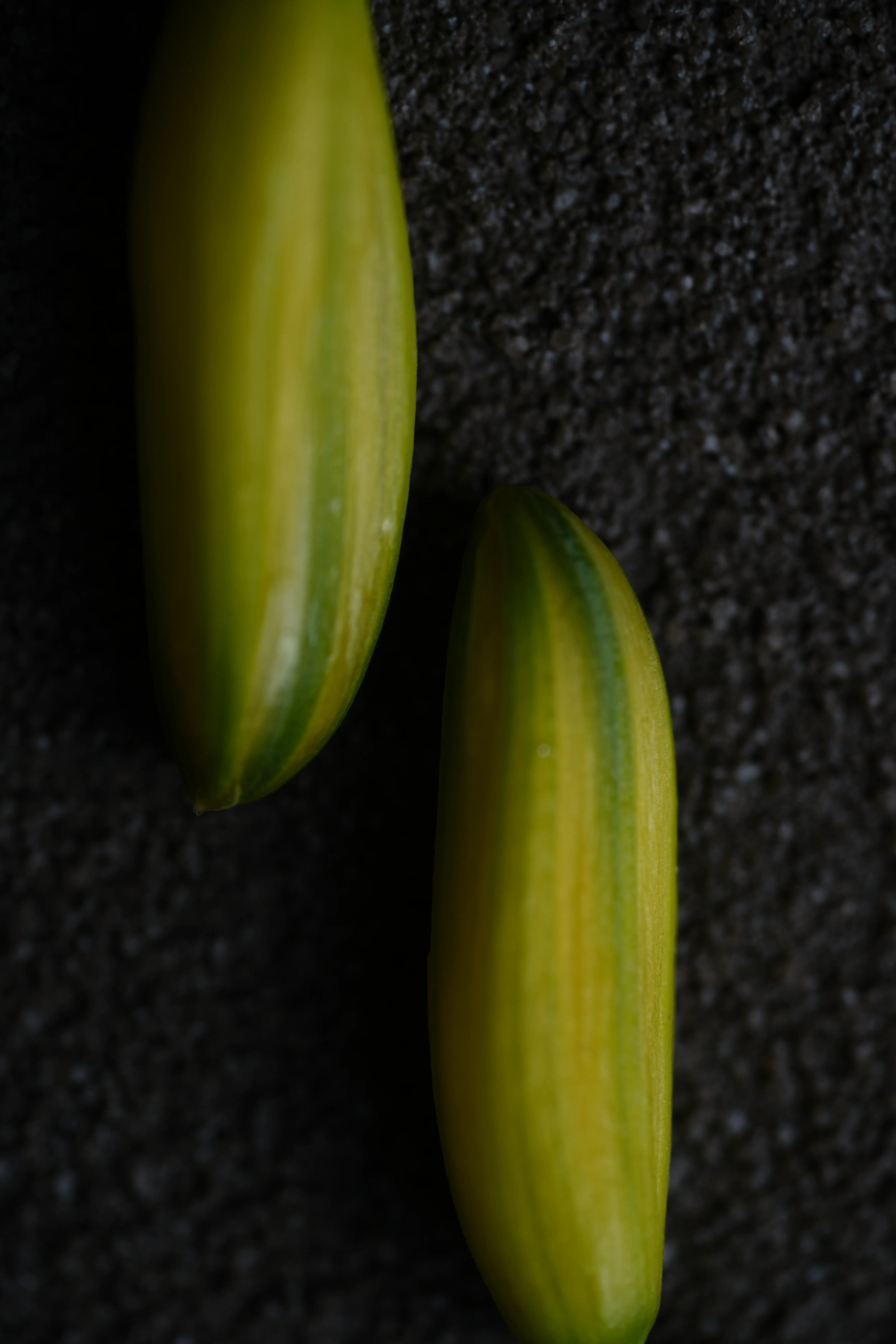 Yuan Cuisine Photography image 44 by maxlux.art / 沉光