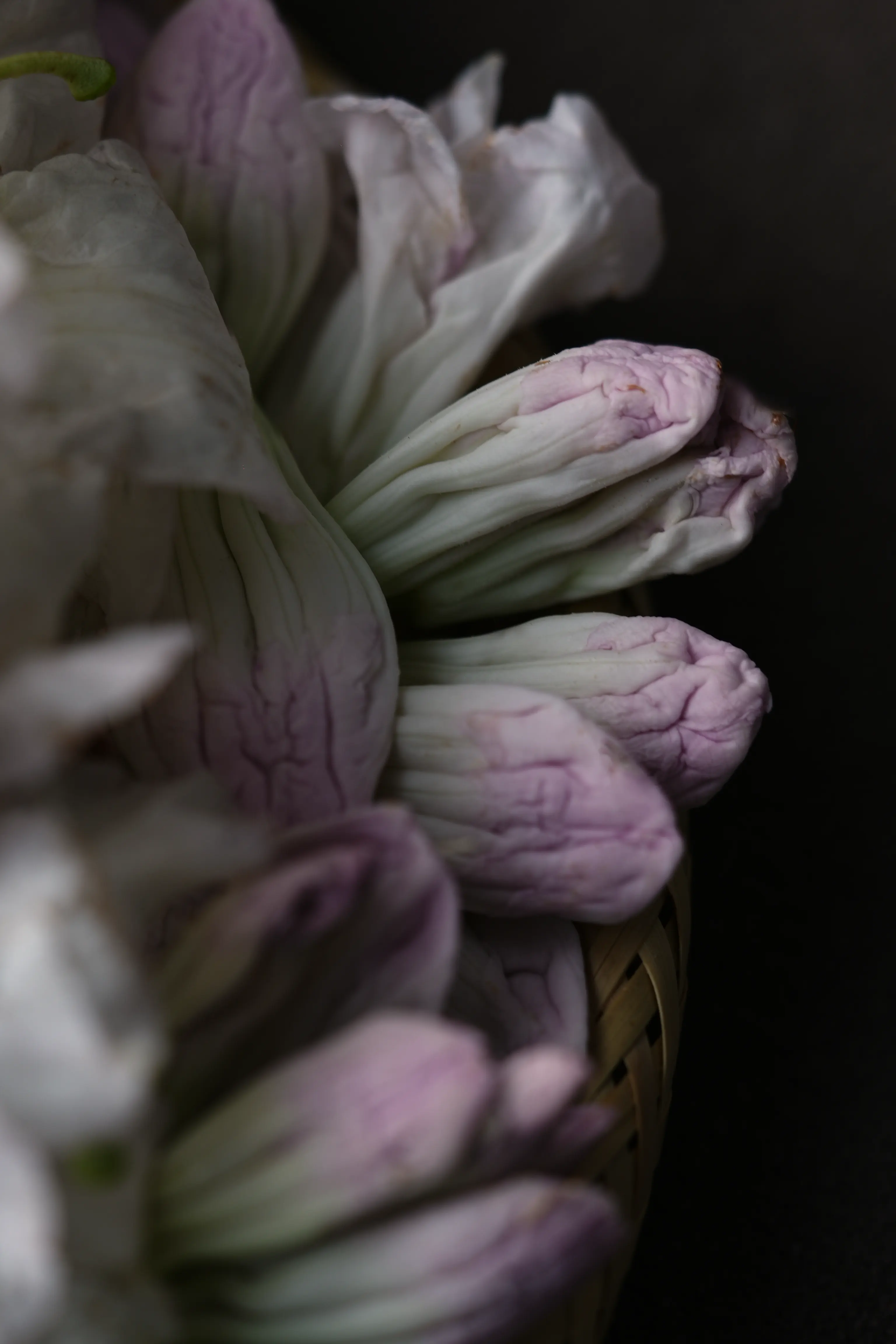 Yuan Cuisine Photography image 53 by maxlux.art / 沉光