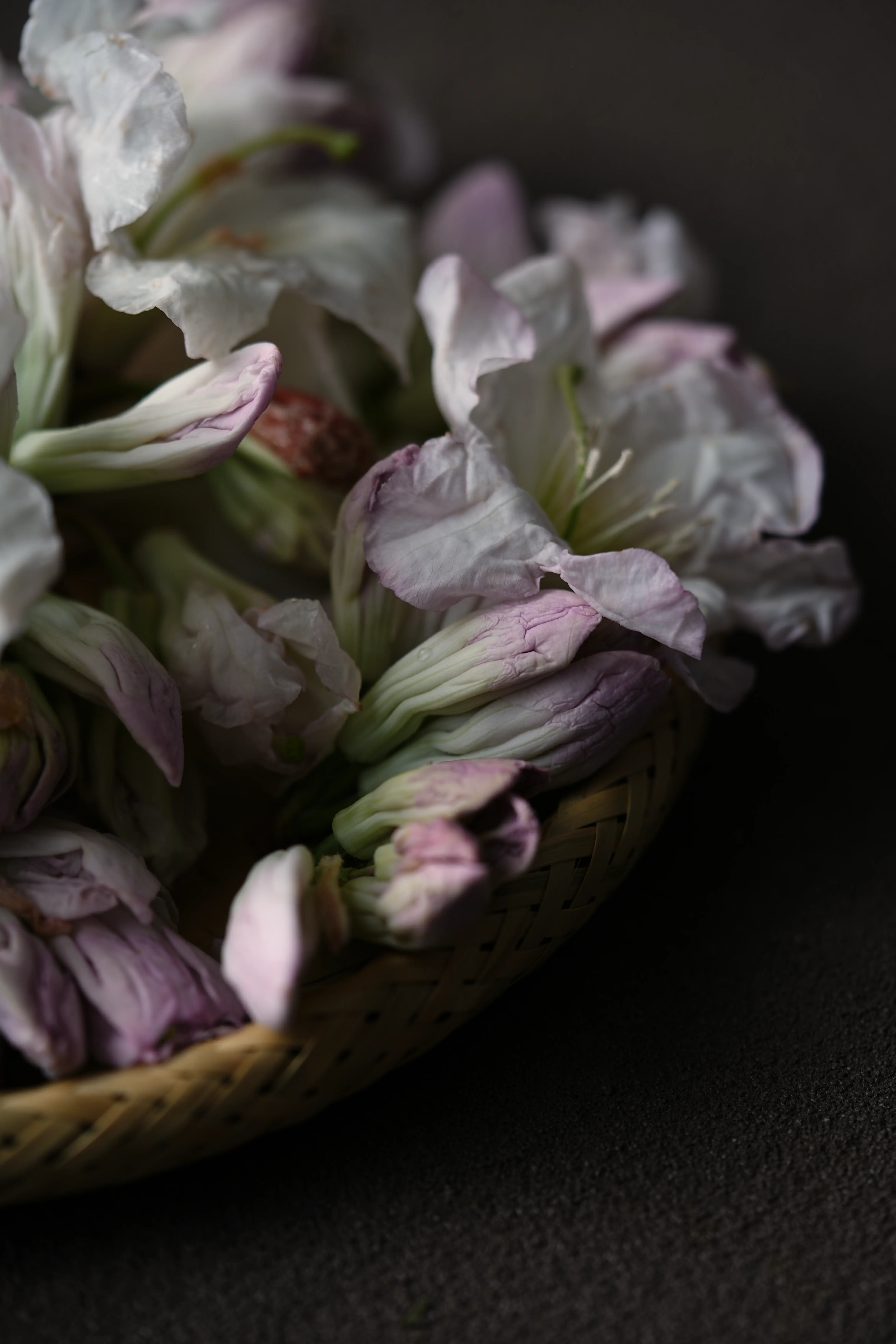 Yuan Cuisine Photography image 56 by maxlux.art / 沉光